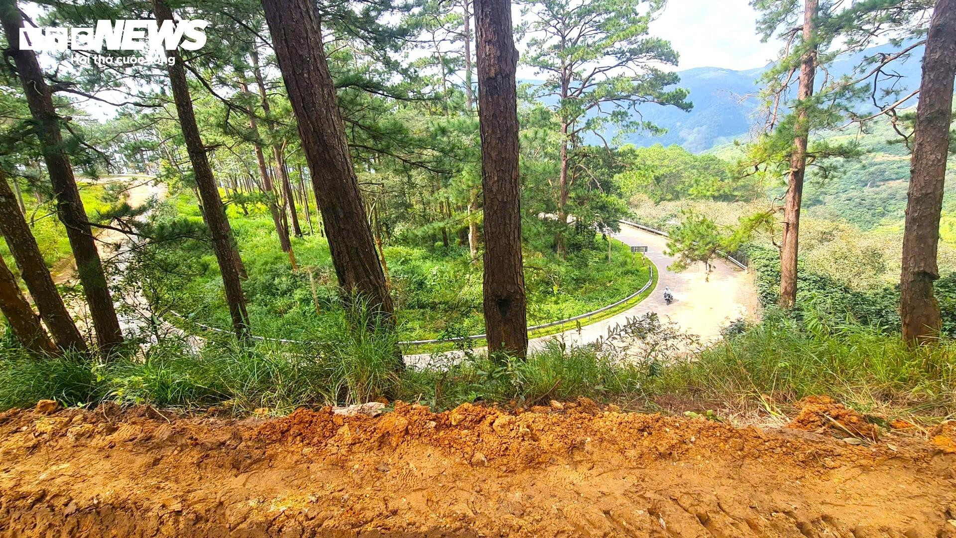 Gian nan mở đường tạm qua cung đèo D'ran bị sạt lở ở Lâm Đồng - 9