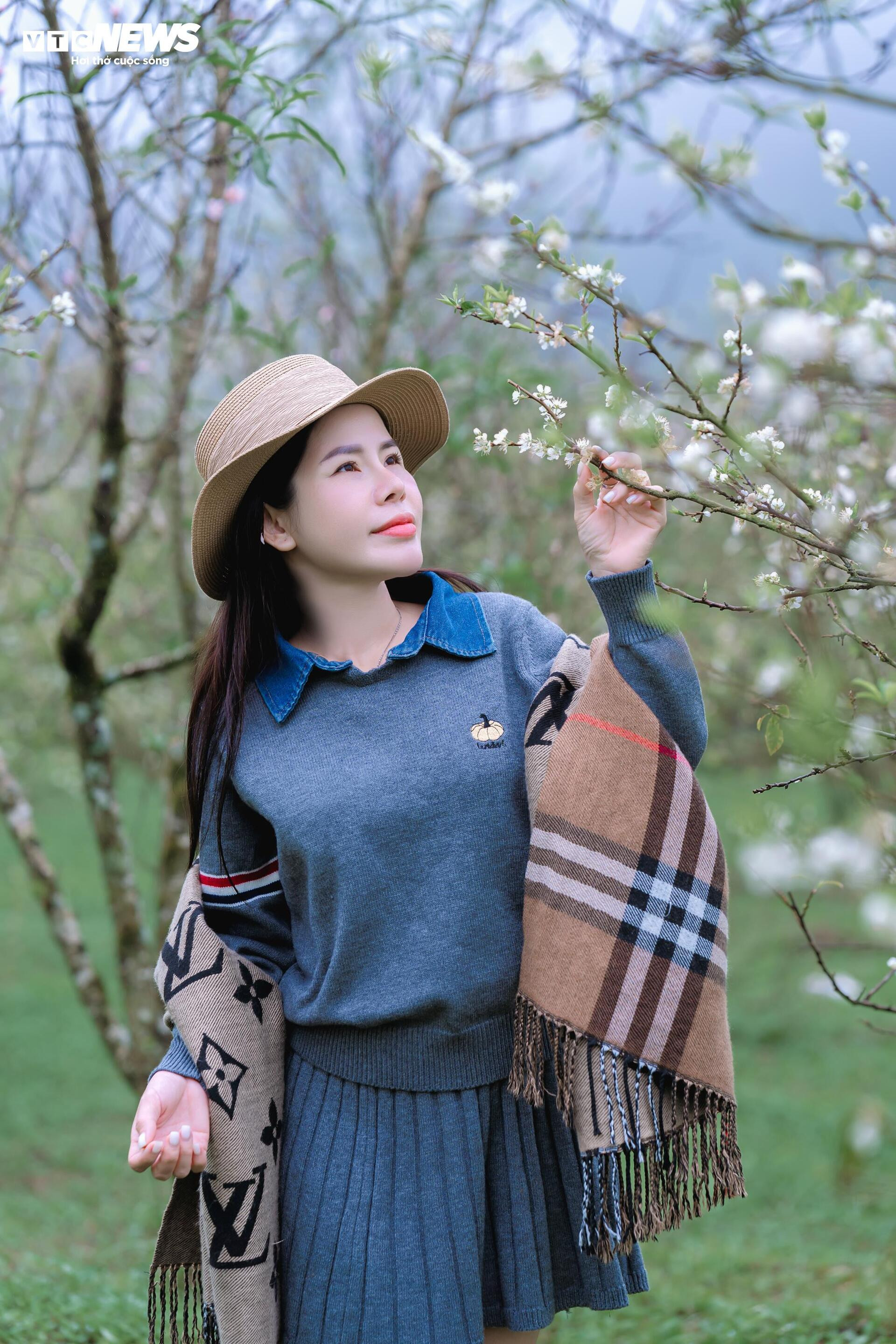 Les fleurs de prunier éclosent tôt, Moc Chau rayonne d'une blancheur pure à la mi-novembre.