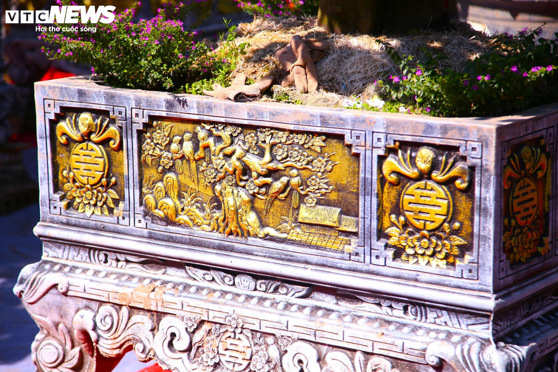 ក្រូចថ្លុងតម្លៃរាប់សិបលានដុង ត្រៀមជូនអតិថិជន 