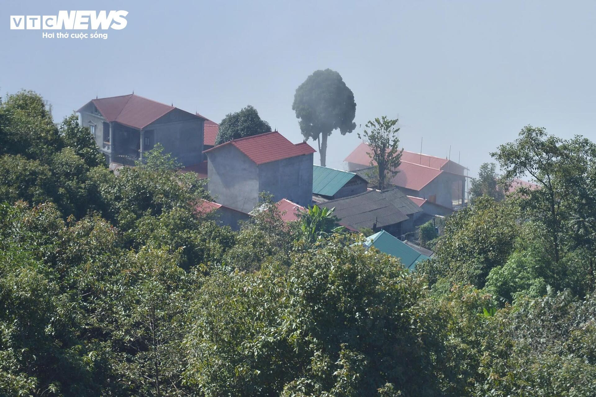 Y Tý vào mùa mây đẹp nhất, thôn Ngải Thầu Thượng hóa biển trắng cuộn trào - 10