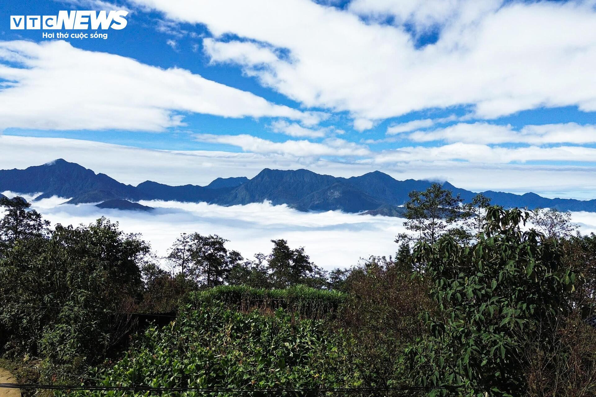 Y Tý vào mùa mây đẹp nhất, thôn Ngải Thầu Thượng hóa biển trắng cuộn trào - 2