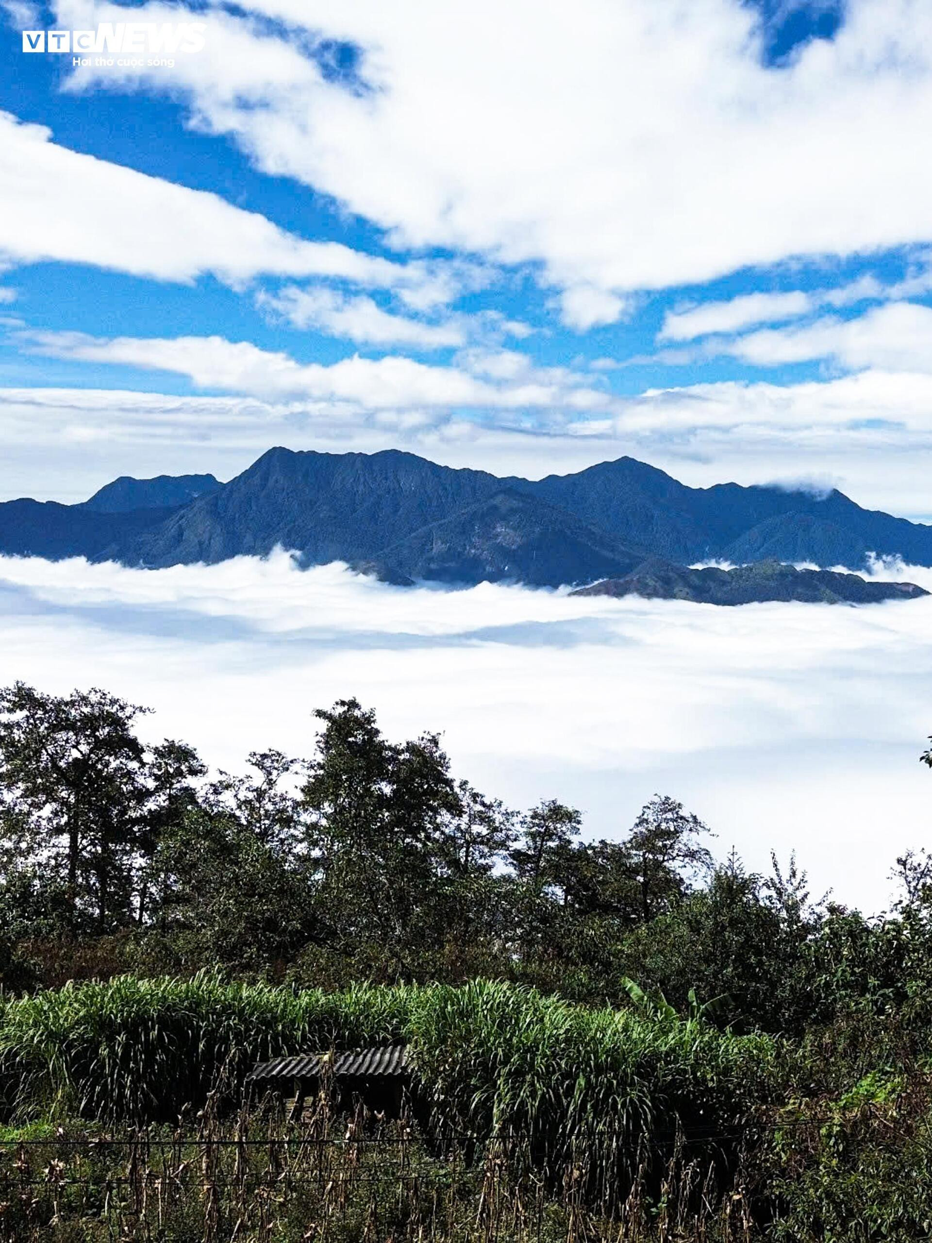 Y Tý vào mùa mây đẹp nhất, thôn Ngải Thầu Thượng hóa biển trắng cuộn trào - 3