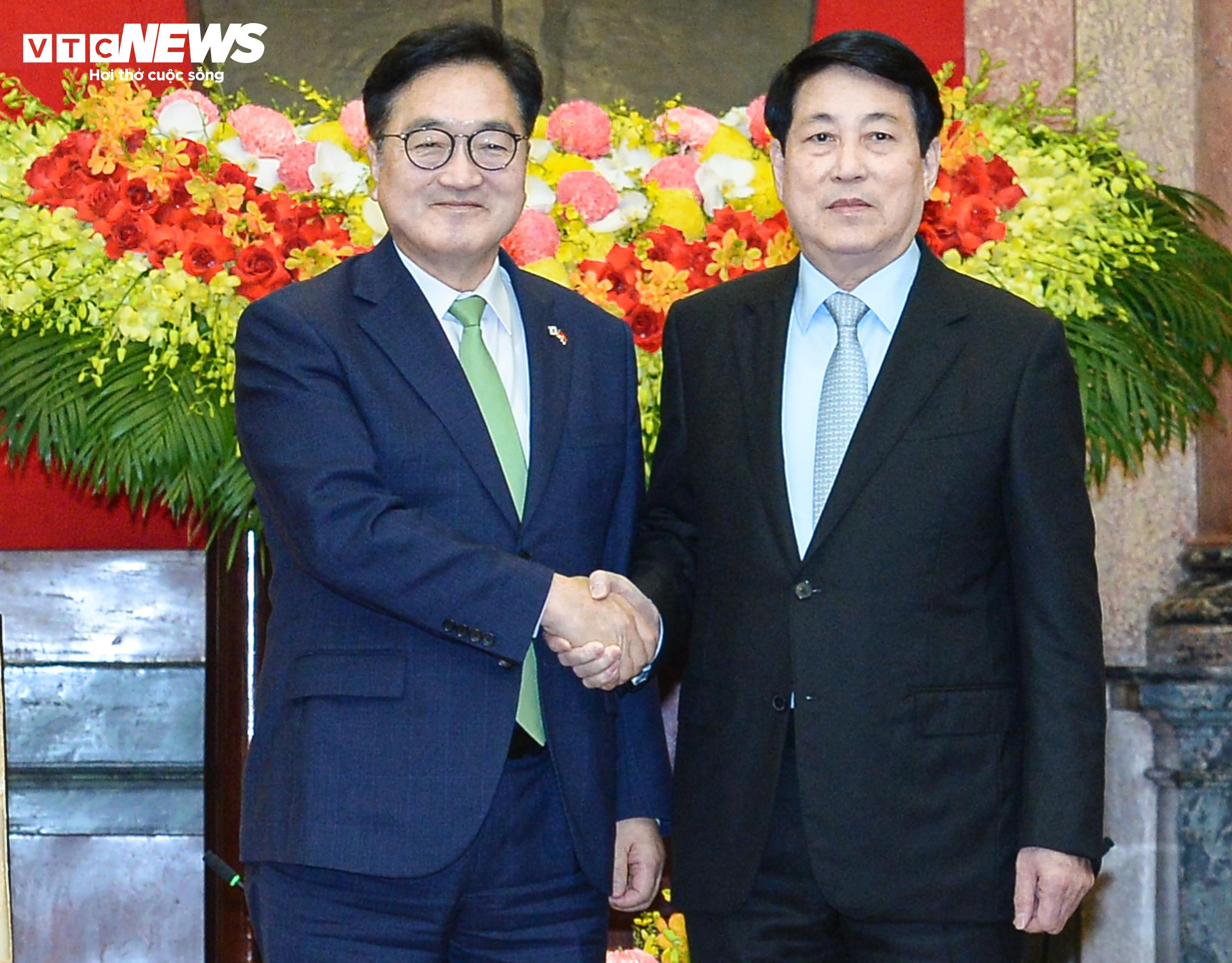 Chủ tịch nước Lương Cường tiếp Chủ tịch Quốc hội Hàn Quốc Woo Won Shik - 2