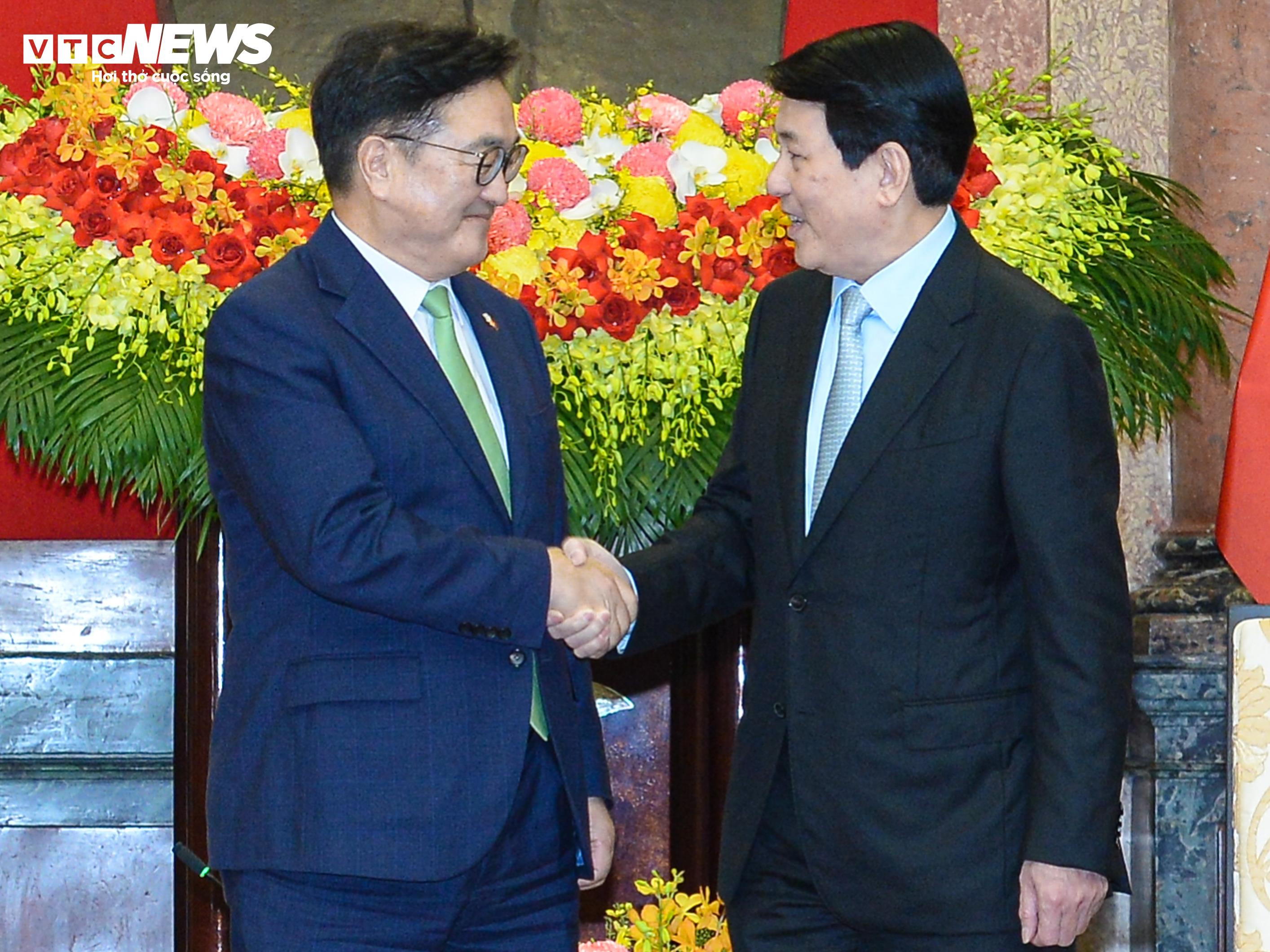 Chủ tịch nước Lương Cường tiếp Chủ tịch Quốc hội Hàn Quốc Woo Won Shik - 3