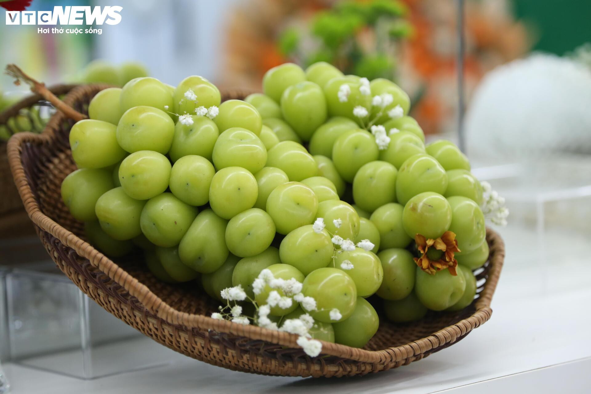 Cận cảnh loạt trái cây 'hot' bị nhái nguồn gốc, lừa người tiêu dùng - 4