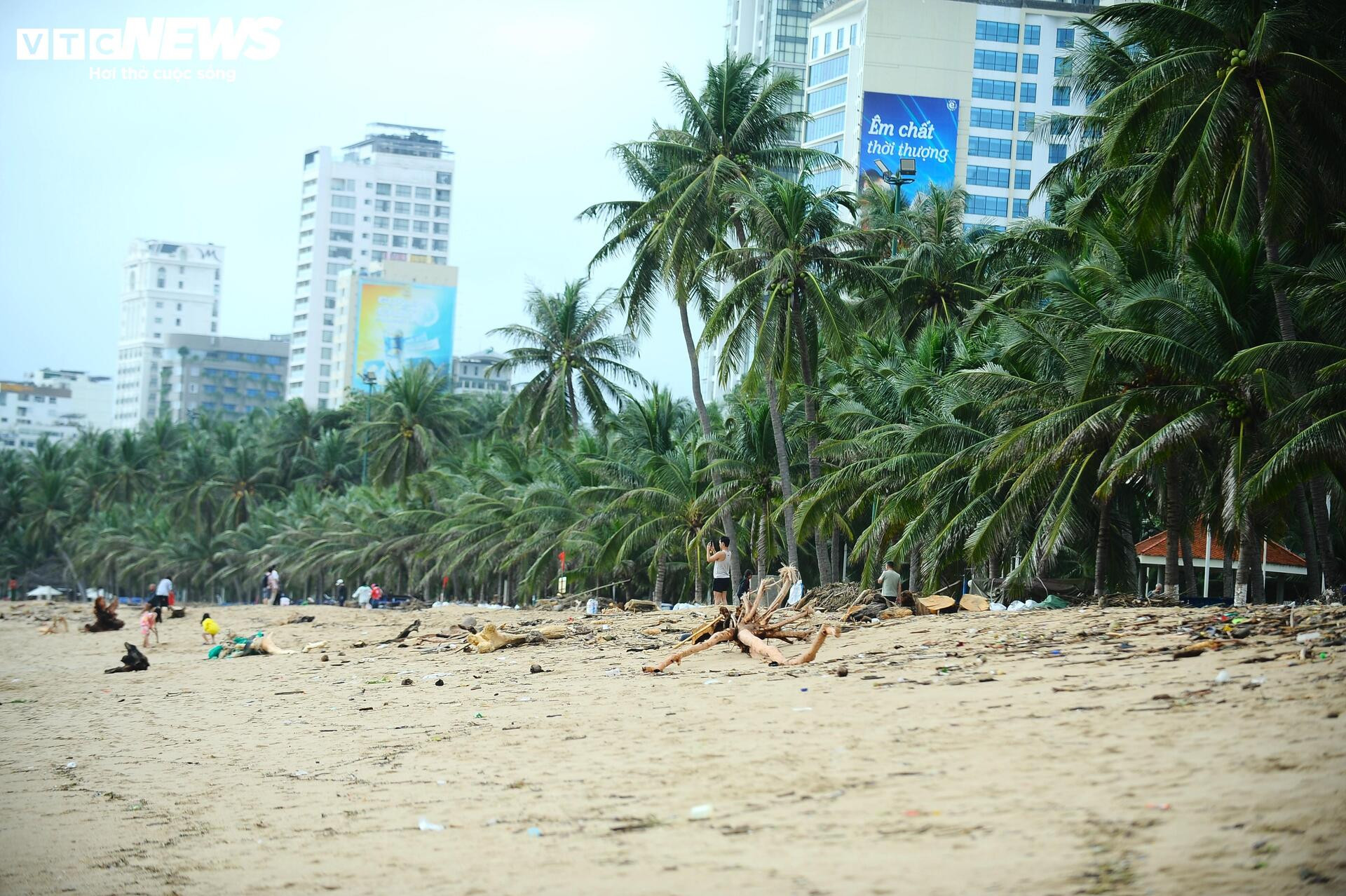 Du khách nước ngoài cùng người dân dọn rác trên biển Nha Trang sau lũ lịch sử - 6