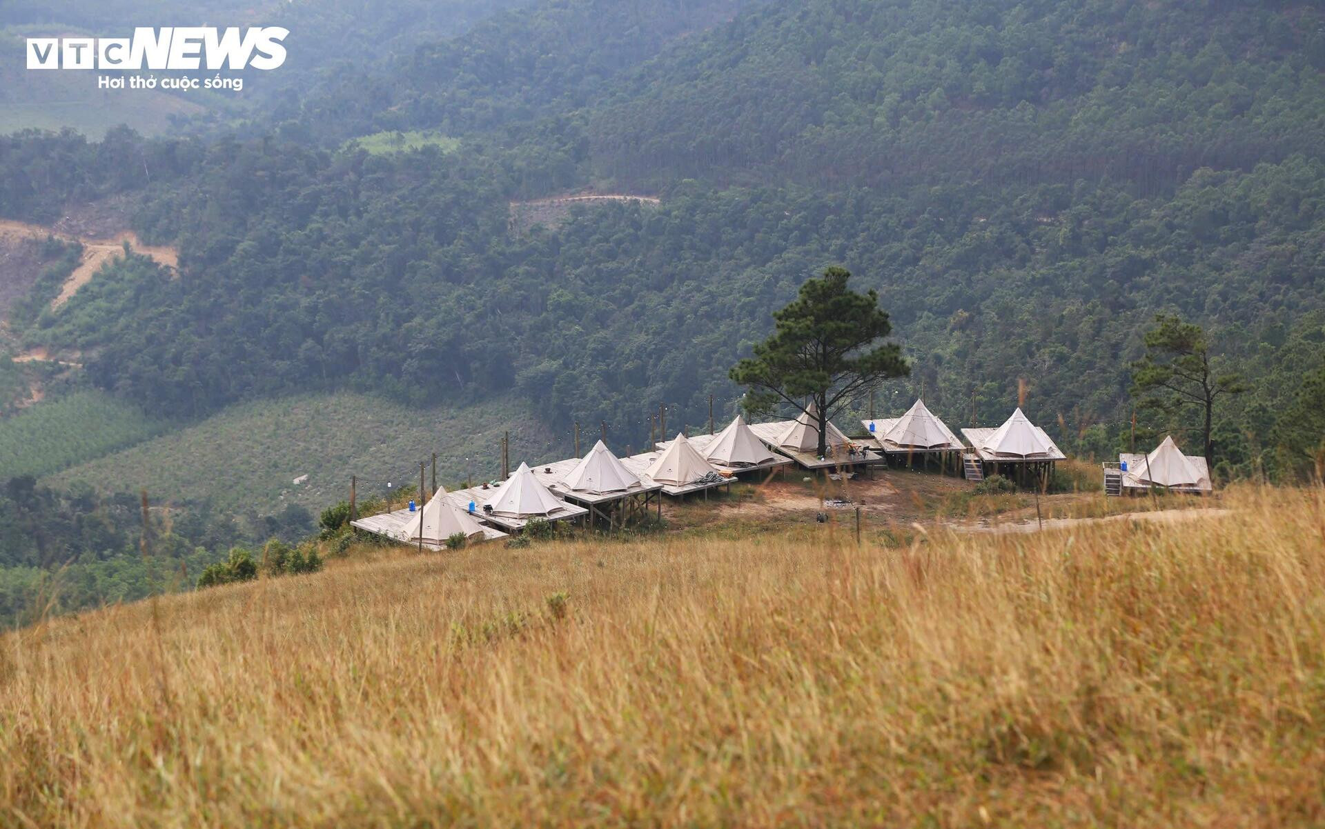 Ngắm đồi Phượng Hoàng vào mùa cỏ cháy đẹp nhất năm - 5