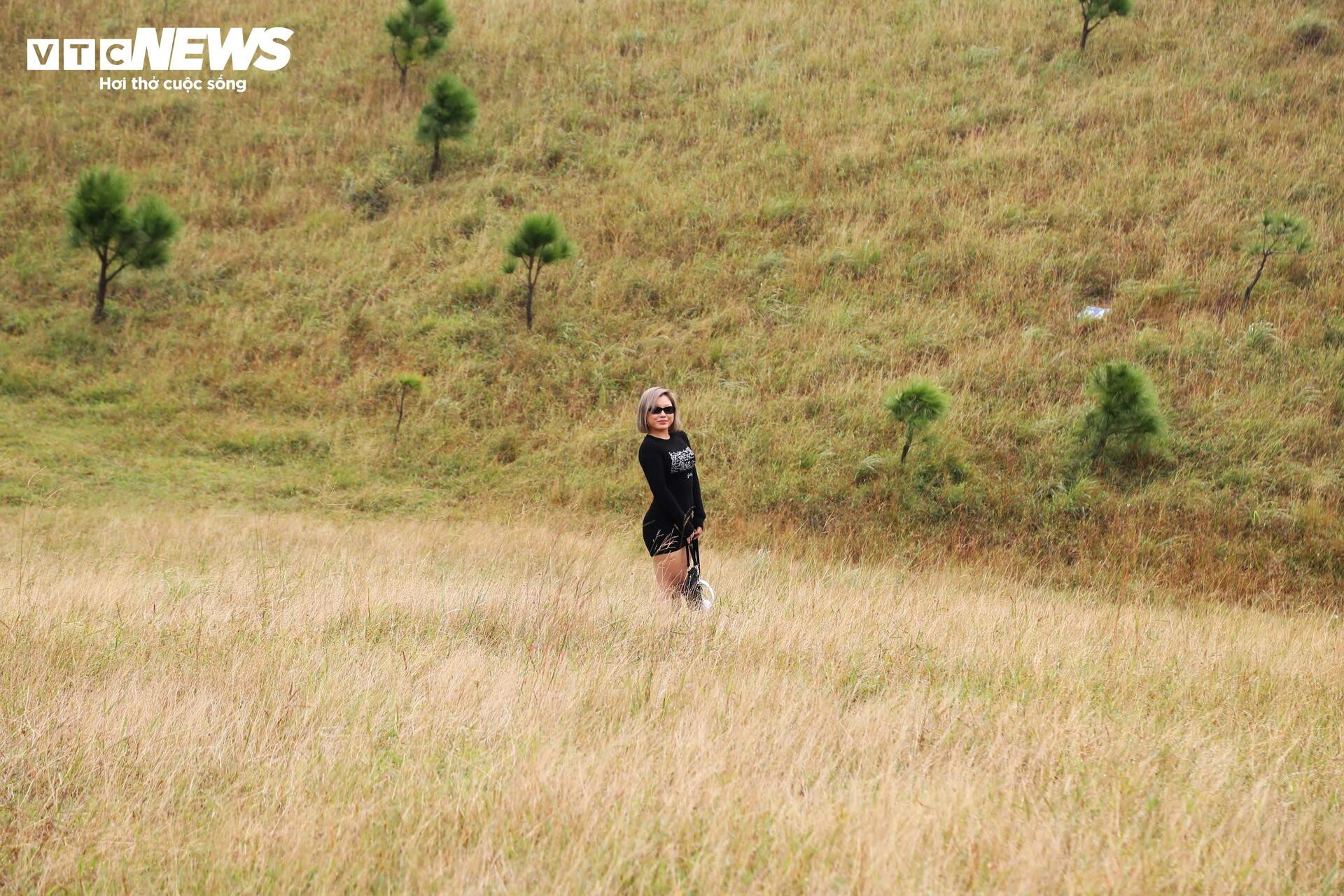 Ngắm đồi Phượng Hoàng vào mùa cỏ cháy đẹp nhất năm - 14