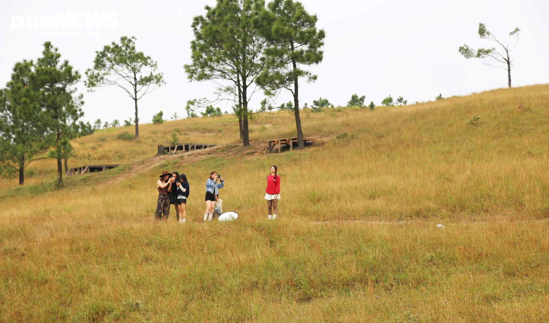 Ngắm đồi Phượng Hoàng vào mùa cỏ cháy đẹp nhất năm - 3