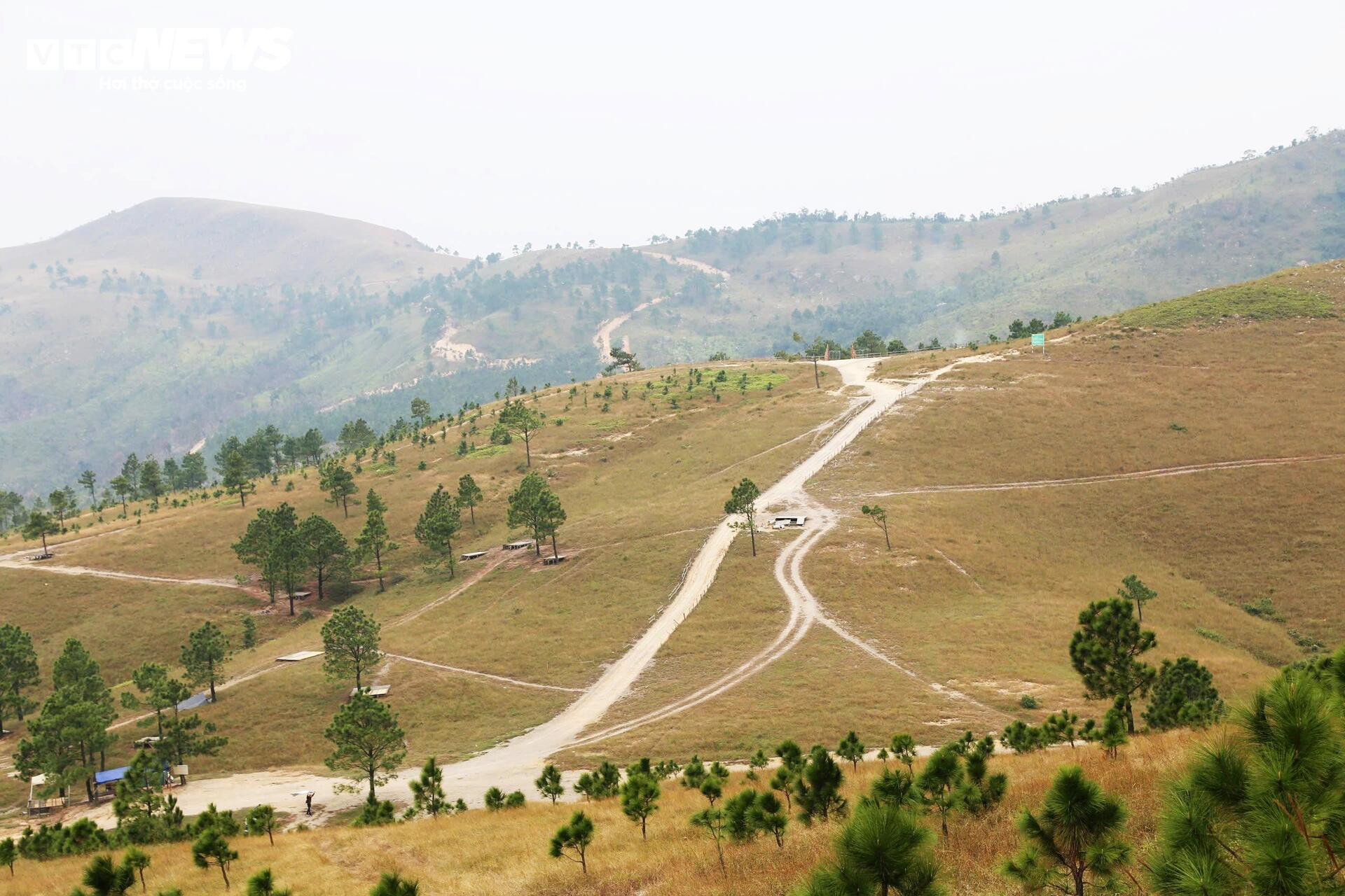 Ngắm đồi Phượng Hoàng vào mùa cỏ cháy đẹp nhất năm - 2