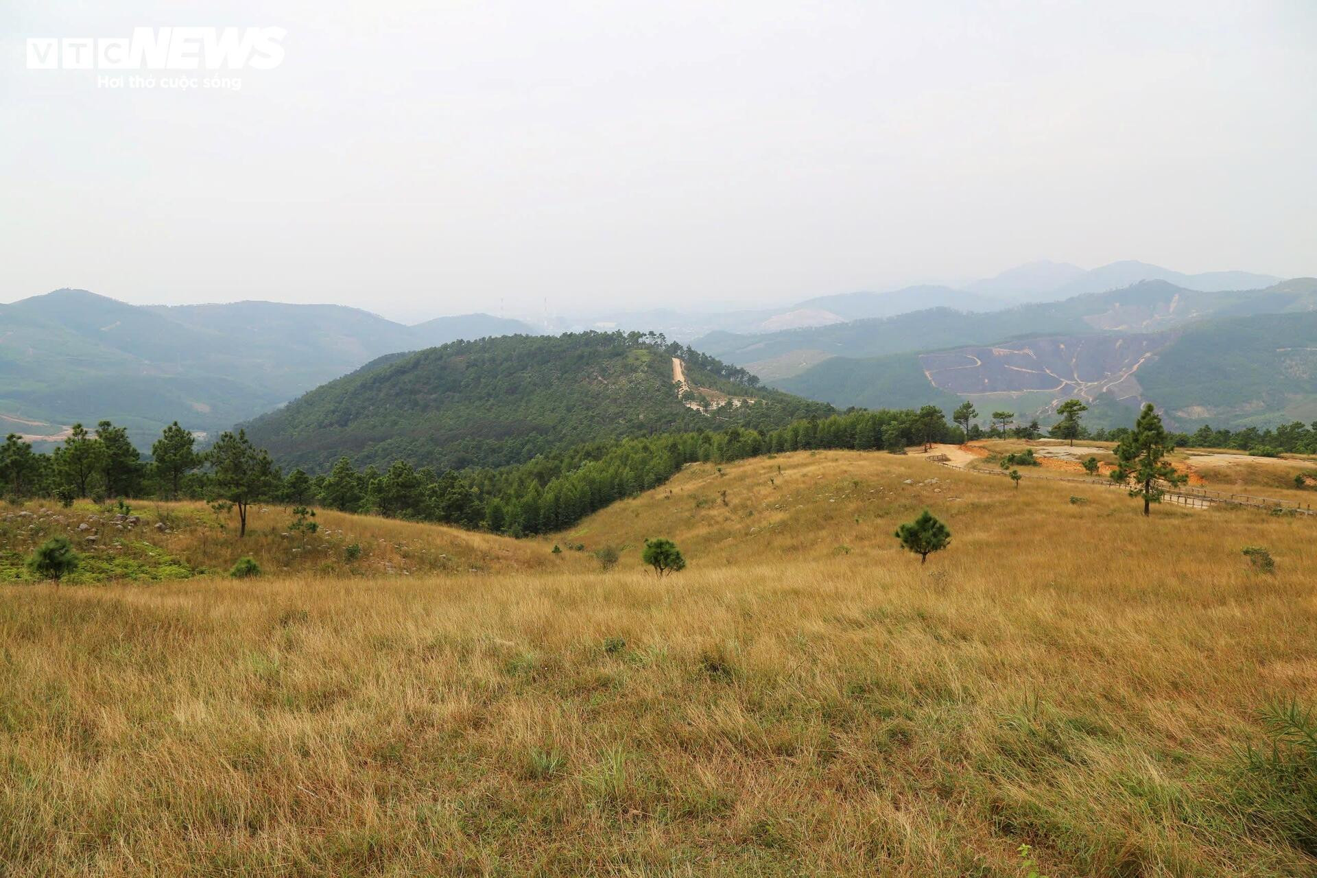 Ngắm đồi Phượng Hoàng vào mùa cỏ cháy đẹp nhất năm - 11