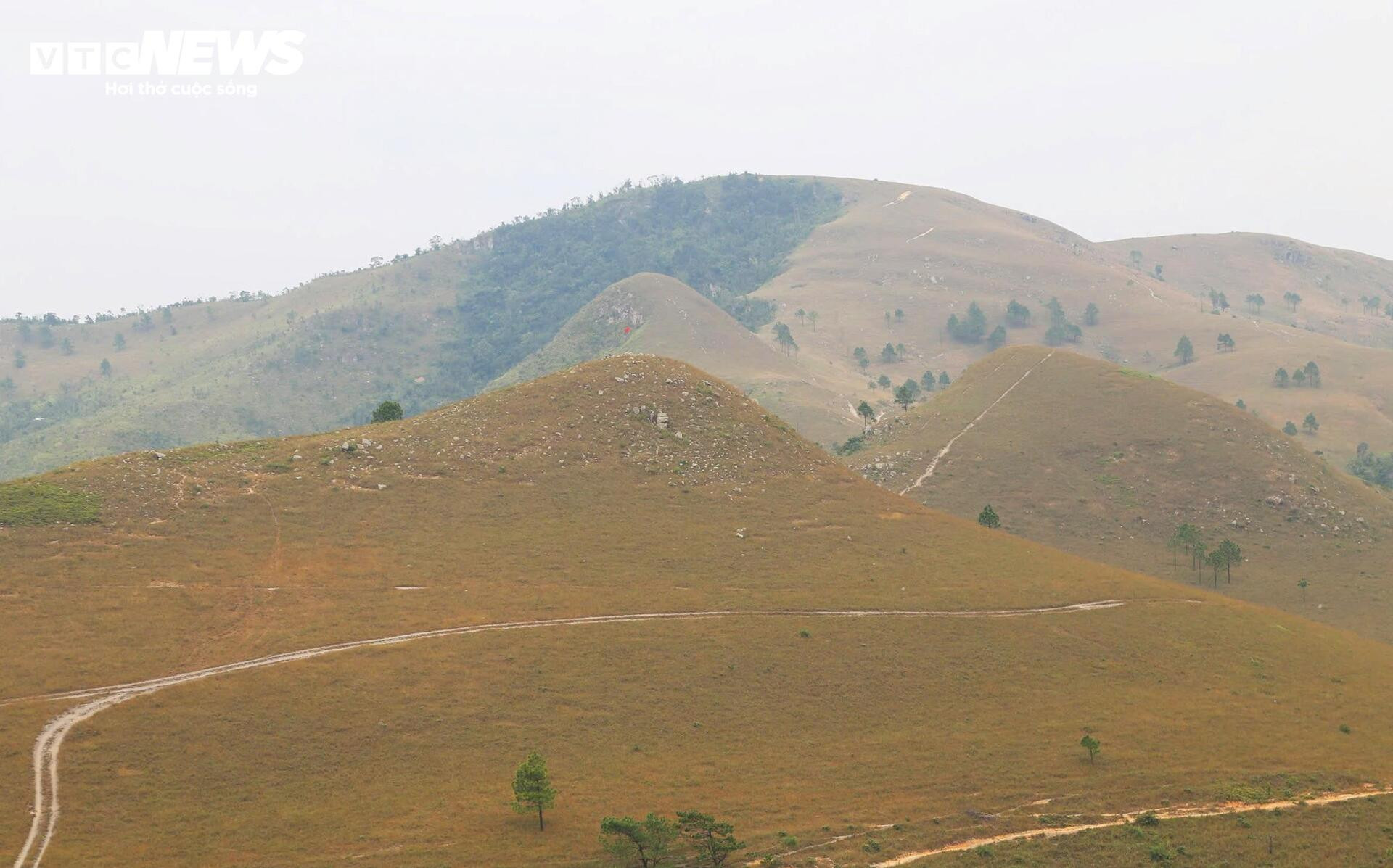 Ngắm đồi Phượng Hoàng vào mùa cỏ cháy đẹp nhất năm - 12