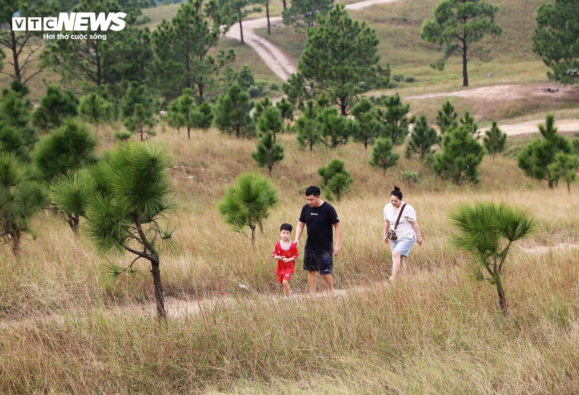 Ngắm đồi Phượng Hoàng vào mùa cỏ cháy đẹp nhất năm - 7