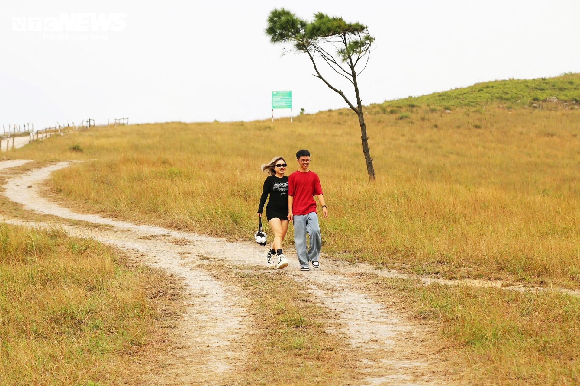 Ngắm đồi Phượng Hoàng vào mùa cỏ cháy đẹp nhất năm - 4