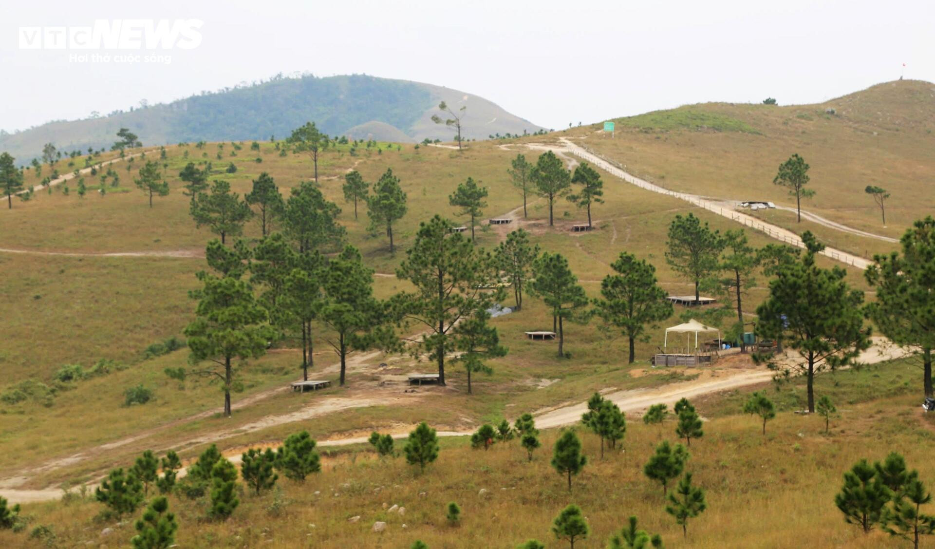 Ngắm đồi Phượng Hoàng vào mùa cỏ cháy đẹp nhất năm - 8