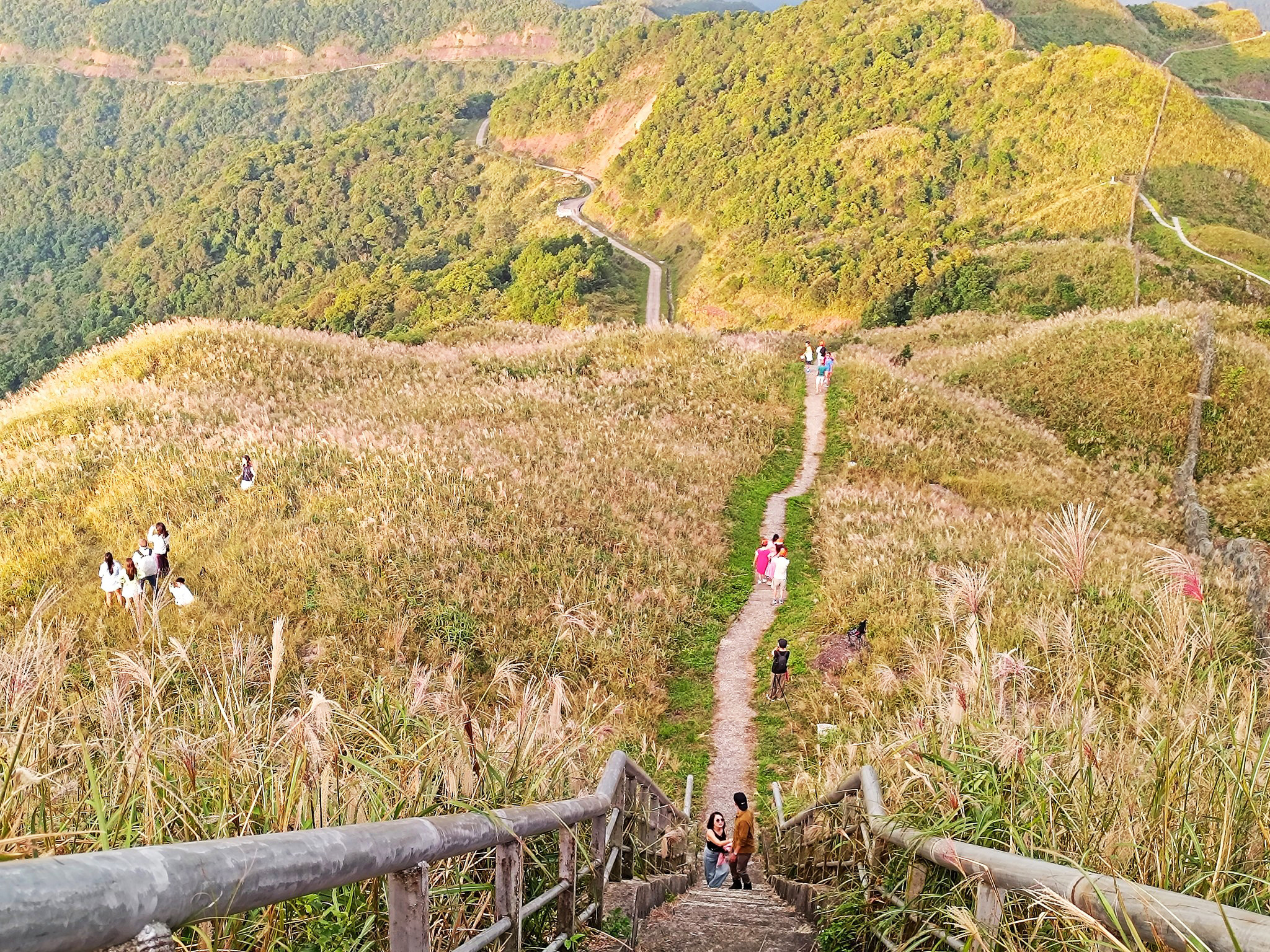 Về Quảng Ninh ngắm cỏ lau 'thức giấc' trên dải biên cương Bình Liêu - 10