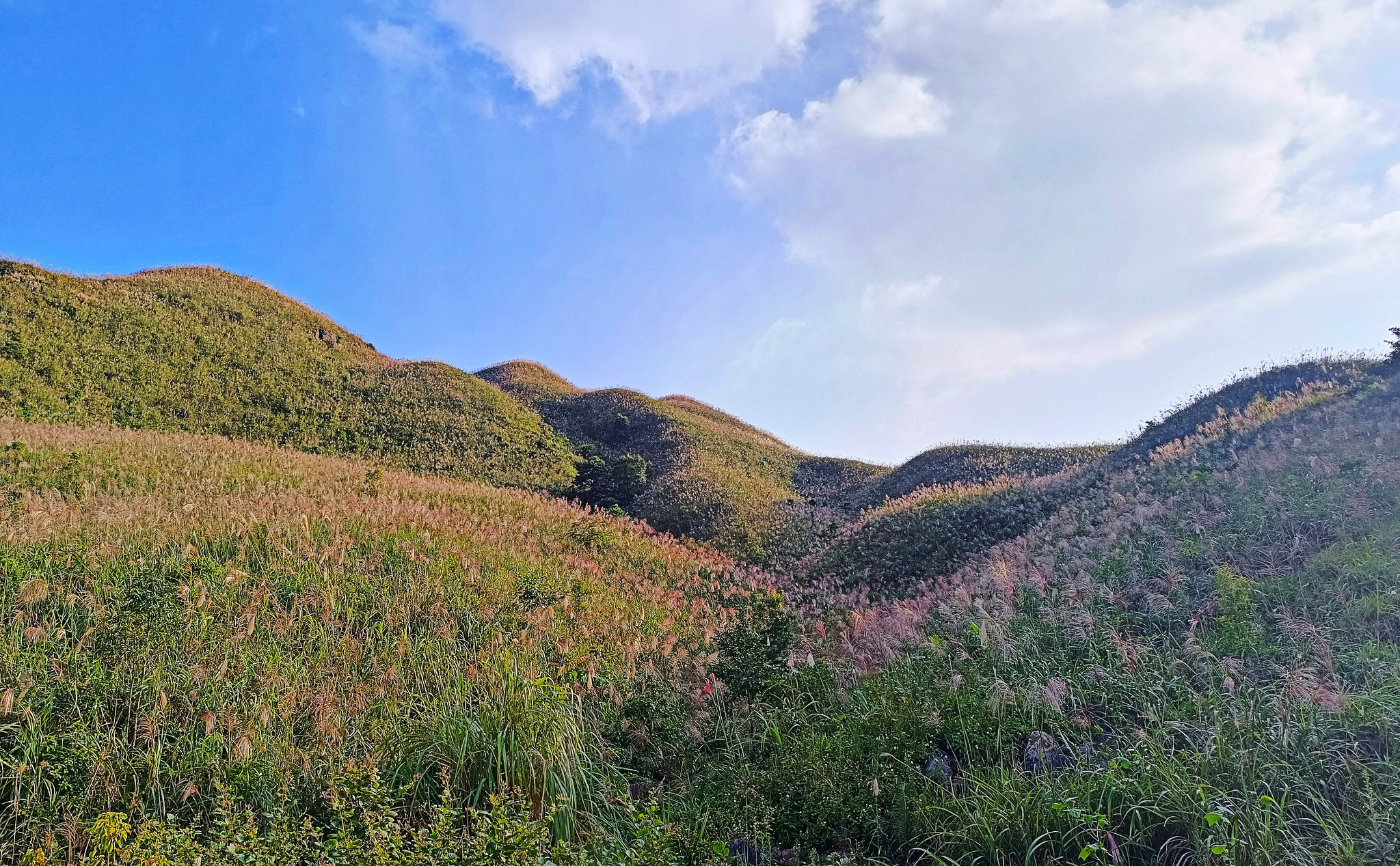 Về Quảng Ninh ngắm cỏ lau 'thức giấc' trên dải biên cương Bình Liêu - 12