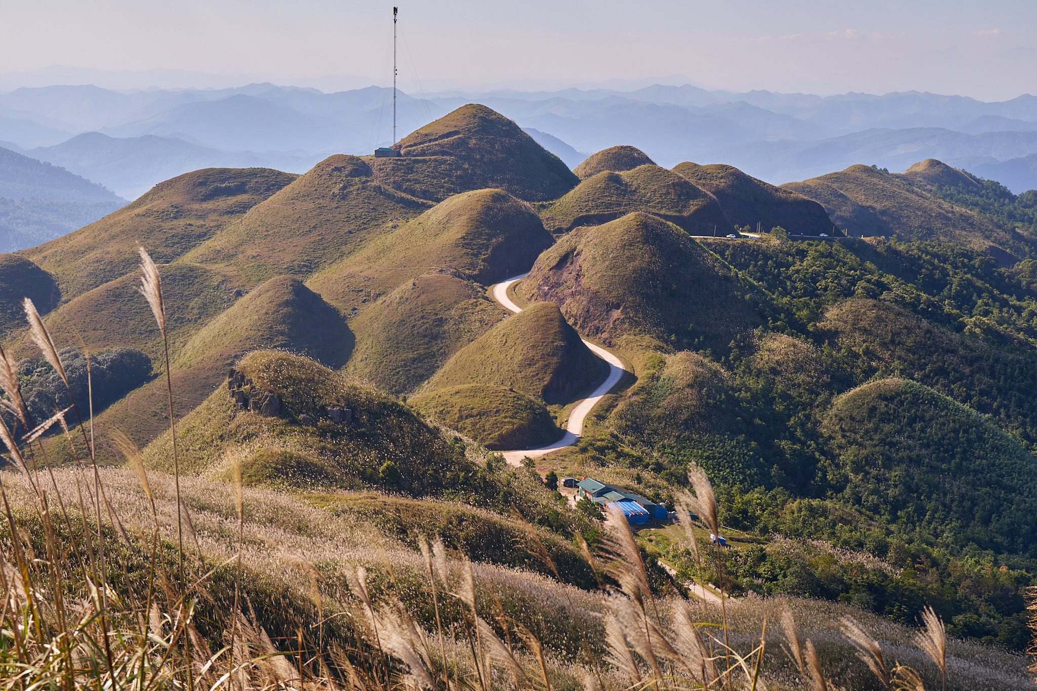 Về Quảng Ninh ngắm cỏ lau 'thức giấc' trên dải biên cương Bình Liêu - 5