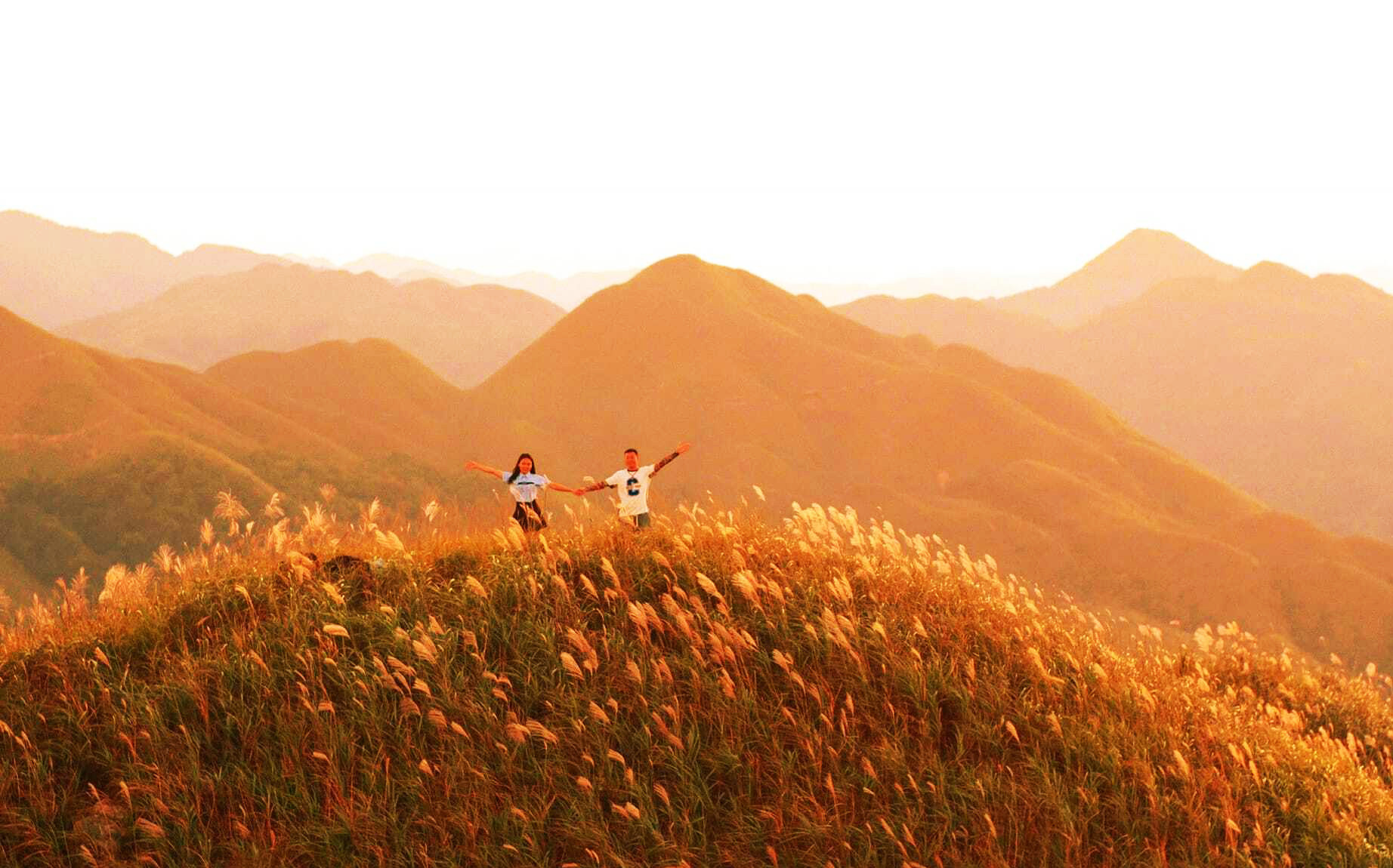 Về Quảng Ninh ngắm cỏ lau 'thức giấc' trên dải biên cương Bình Liêu - 6