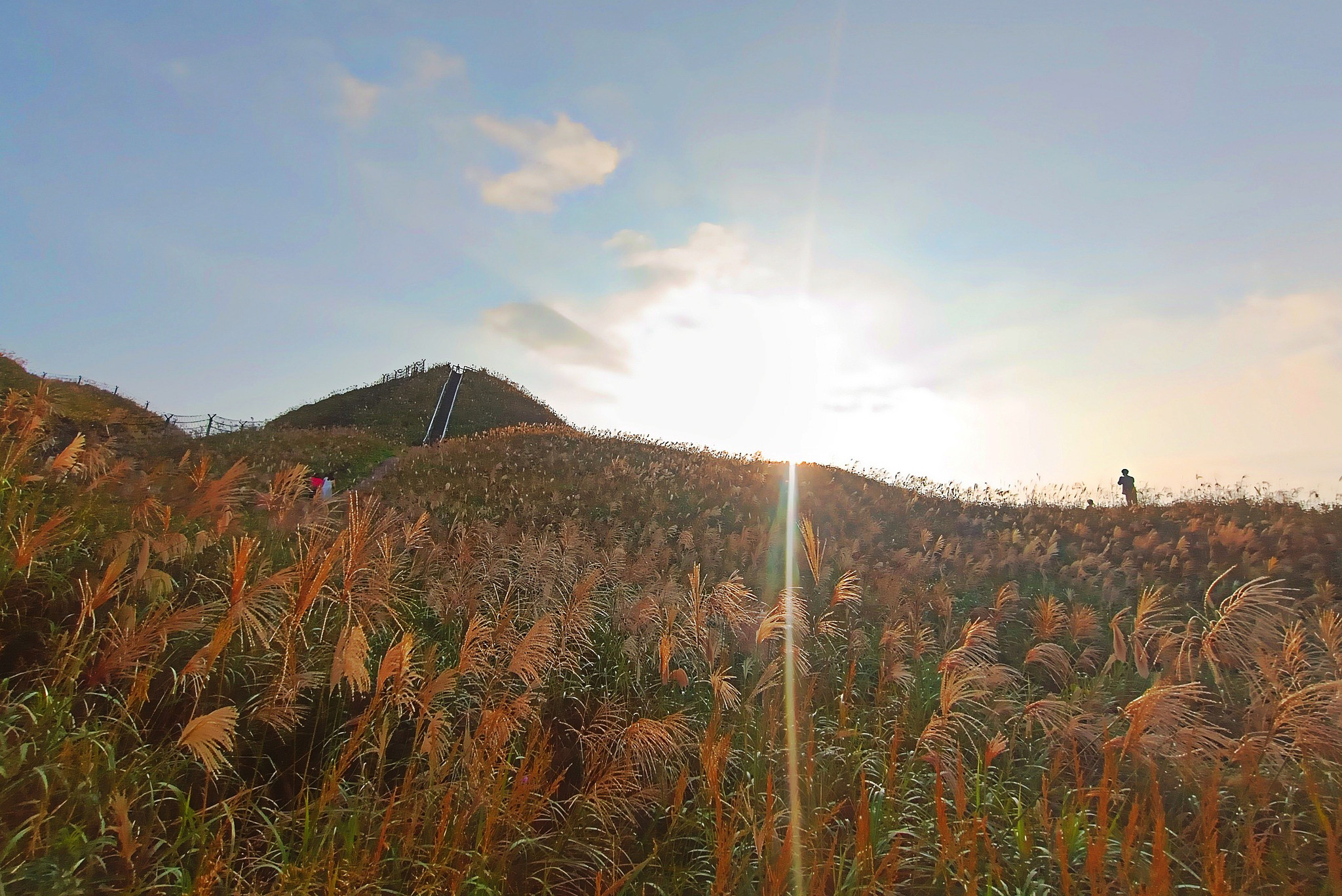 Về Quảng Ninh ngắm cỏ lau 'thức giấc' trên dải biên cương Bình Liêu - 8