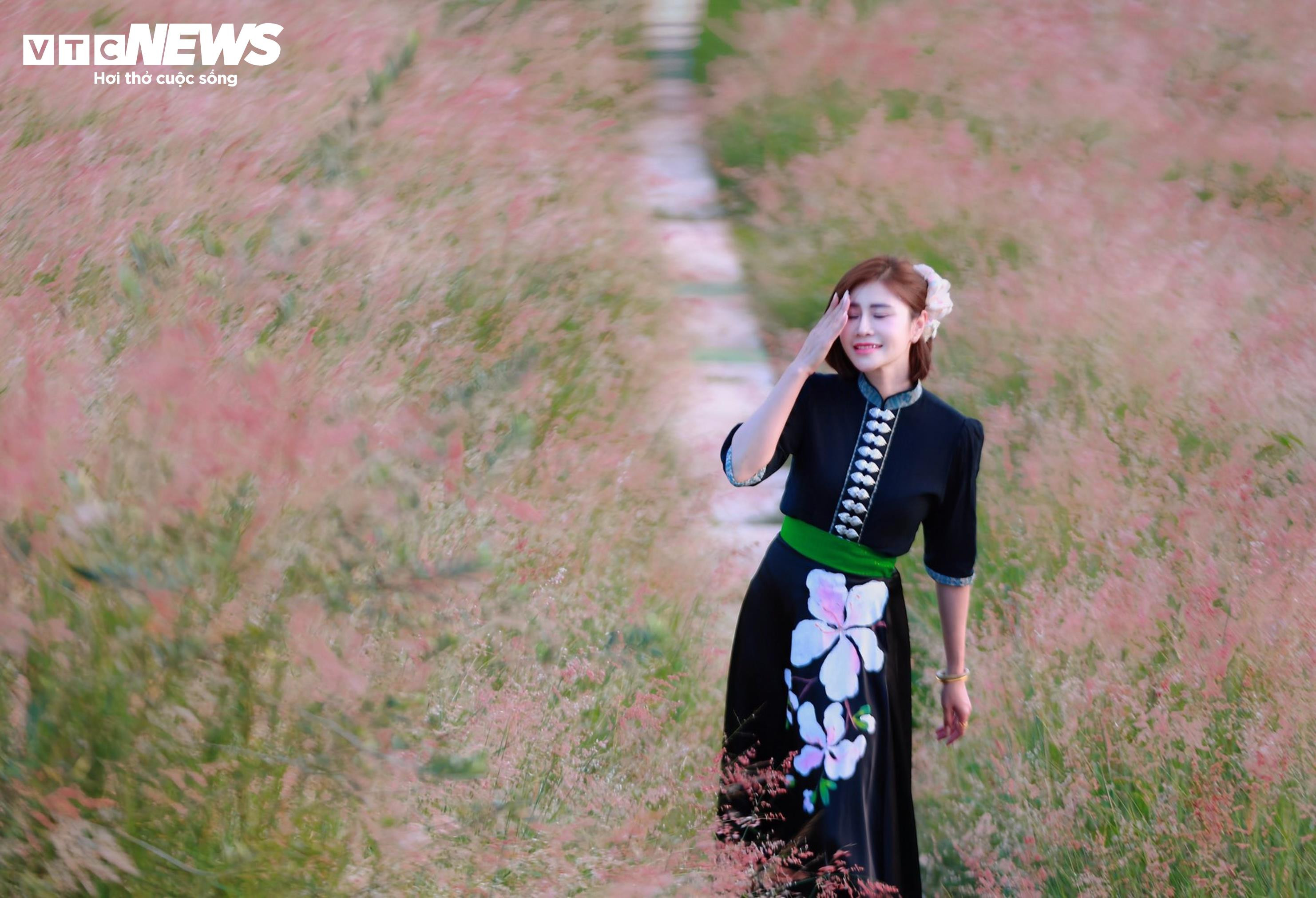 Đồi cỏ hồng như phim Hàn giữa cao nguyên Mộc Châu - 10