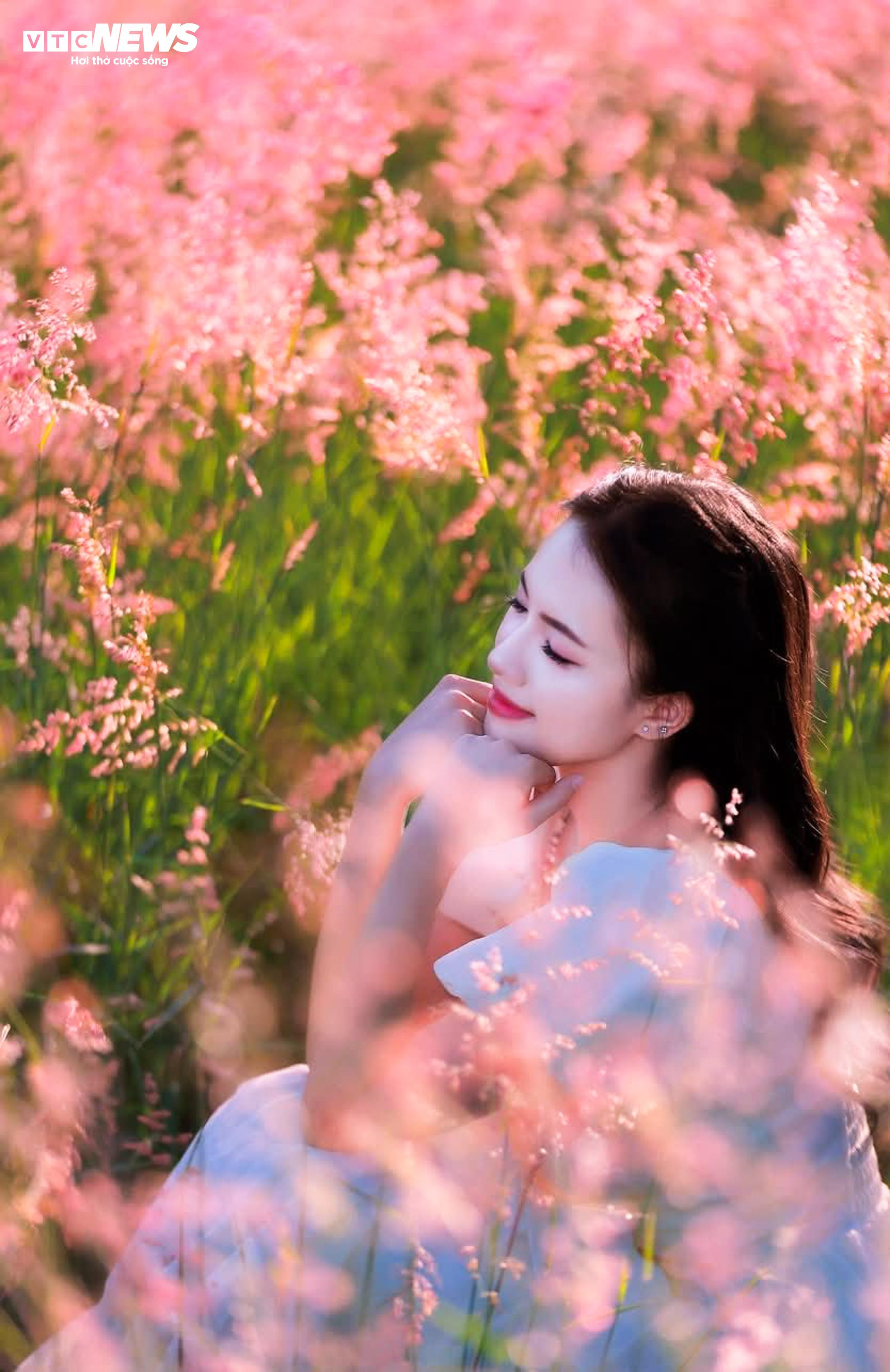 Đồi cỏ hồng như phim Hàn giữa cao nguyên Mộc Châu - 5