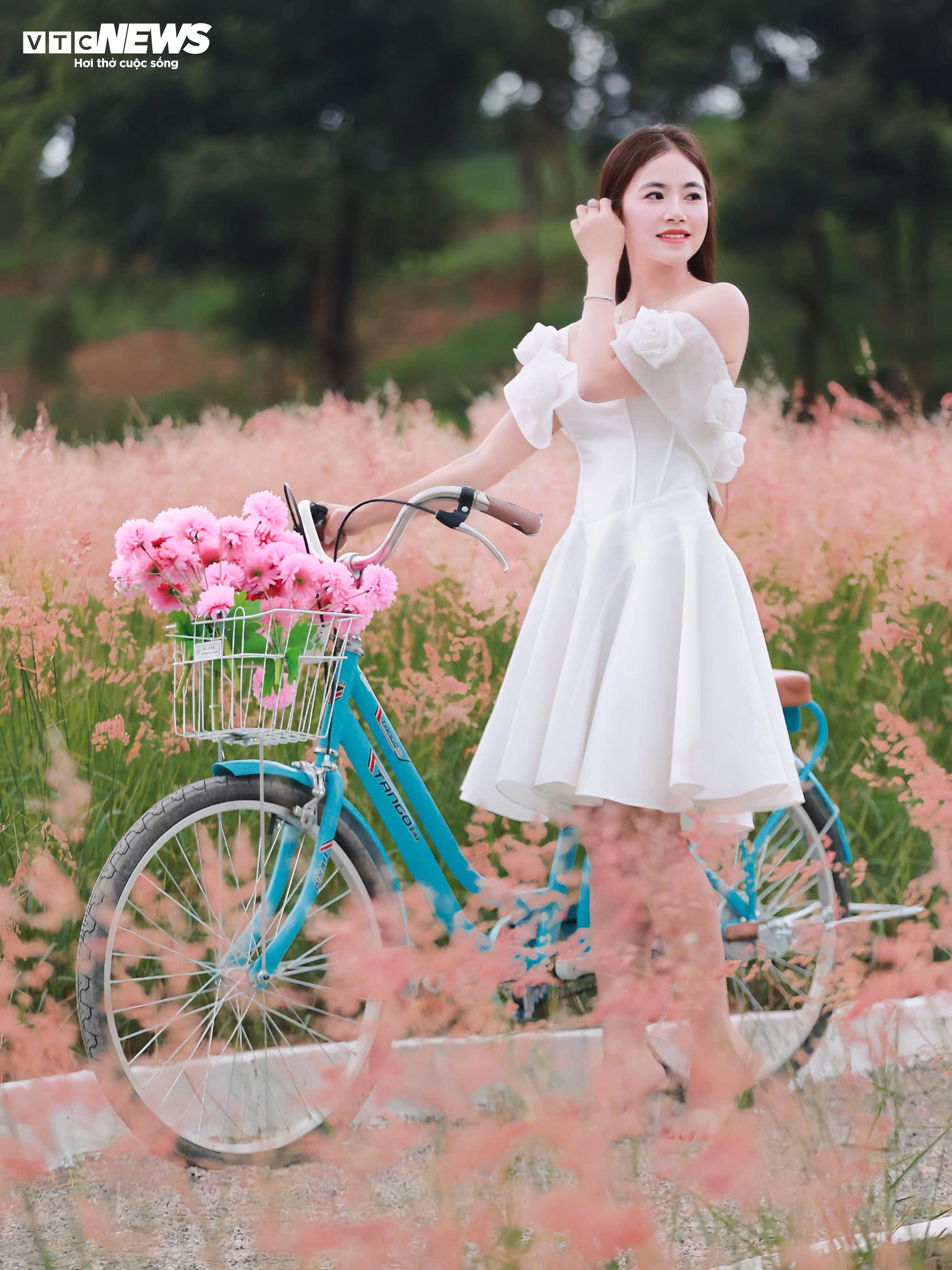 Đồi cỏ hồng như phim Hàn giữa cao nguyên Mộc Châu - 6