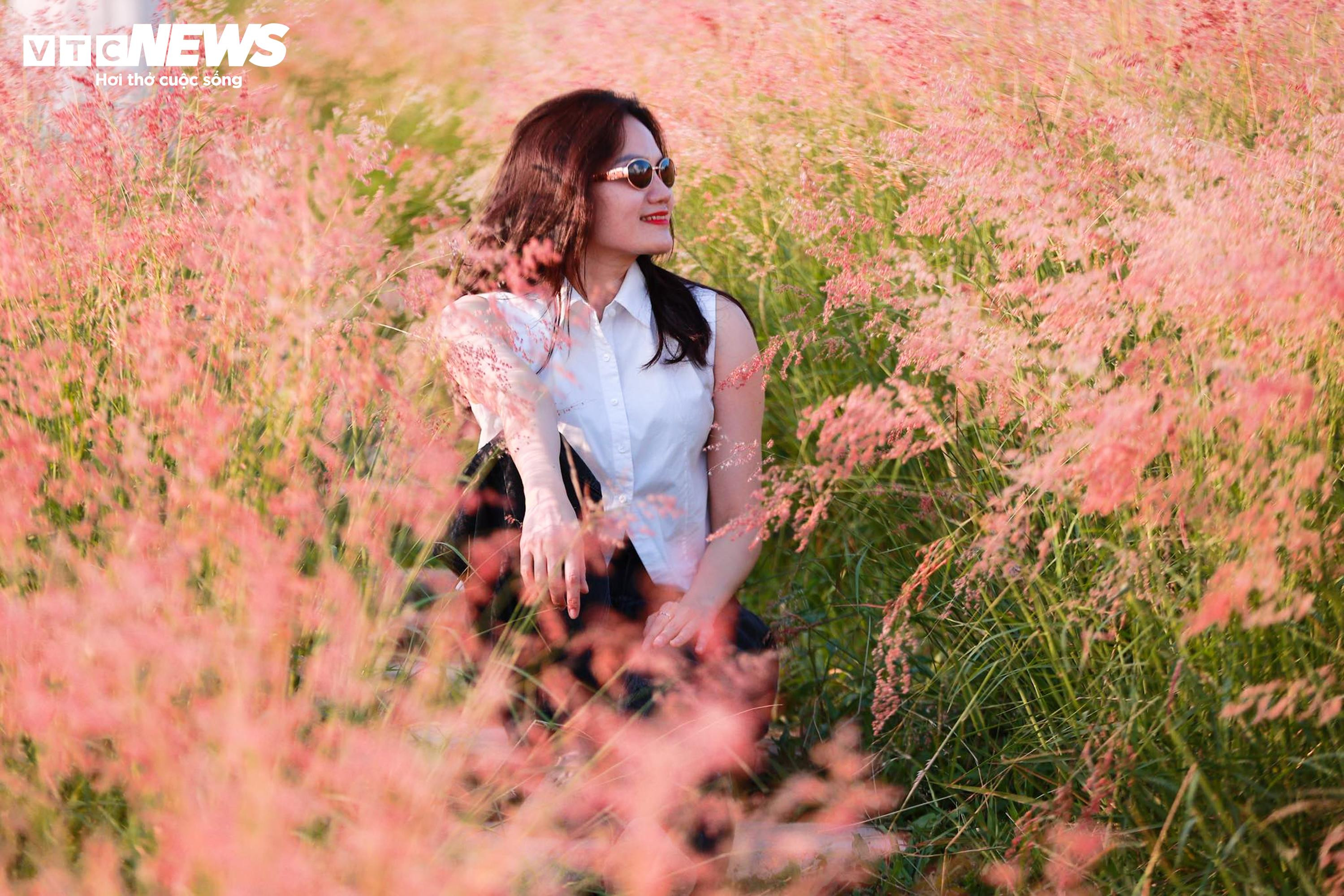 Đồi cỏ hồng như phim Hàn giữa cao nguyên Mộc Châu - 8