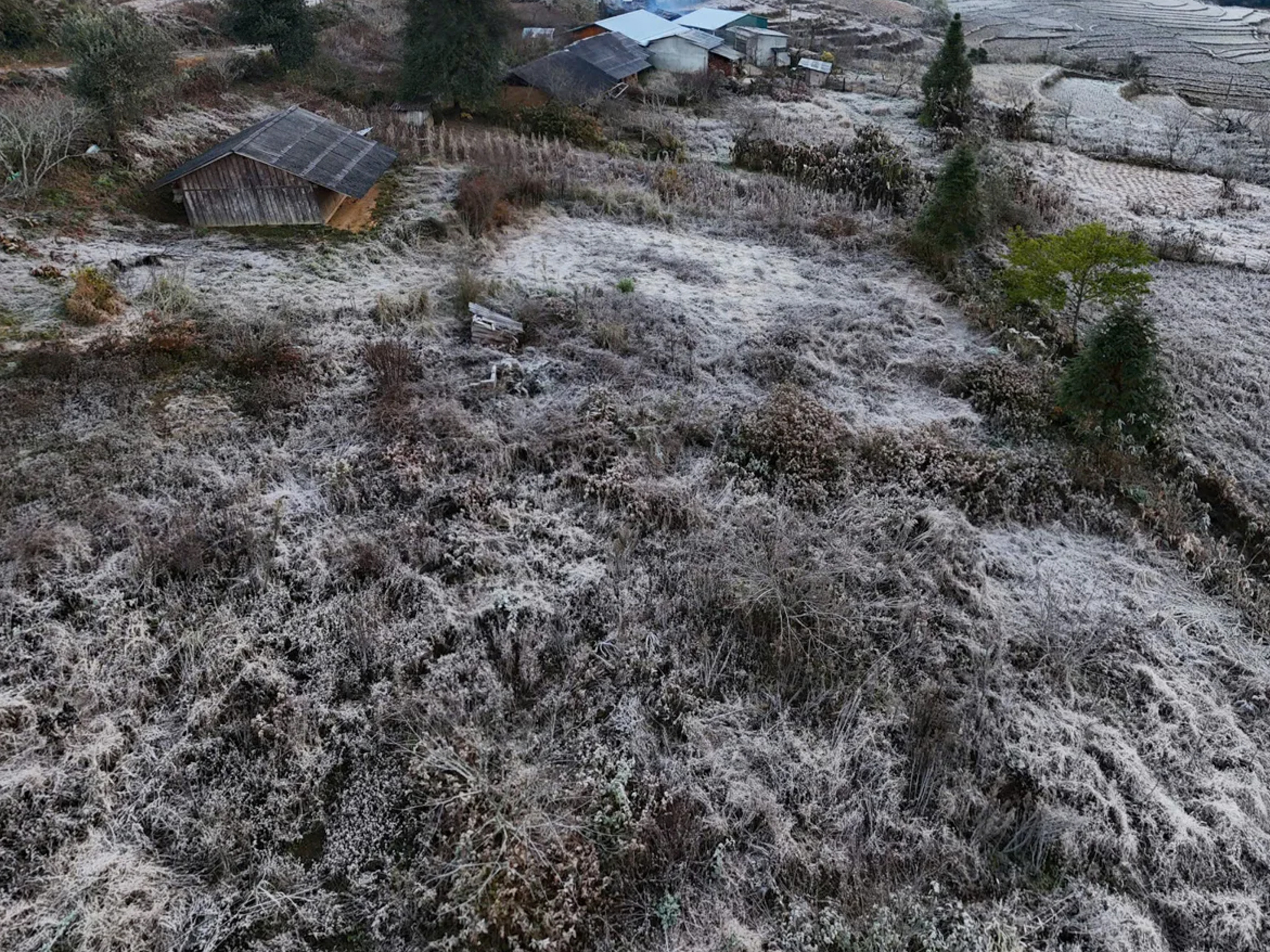 Lào Cai: Băng giá trắng xóa 'bao phủ' bản làng ở Y Tý - 10