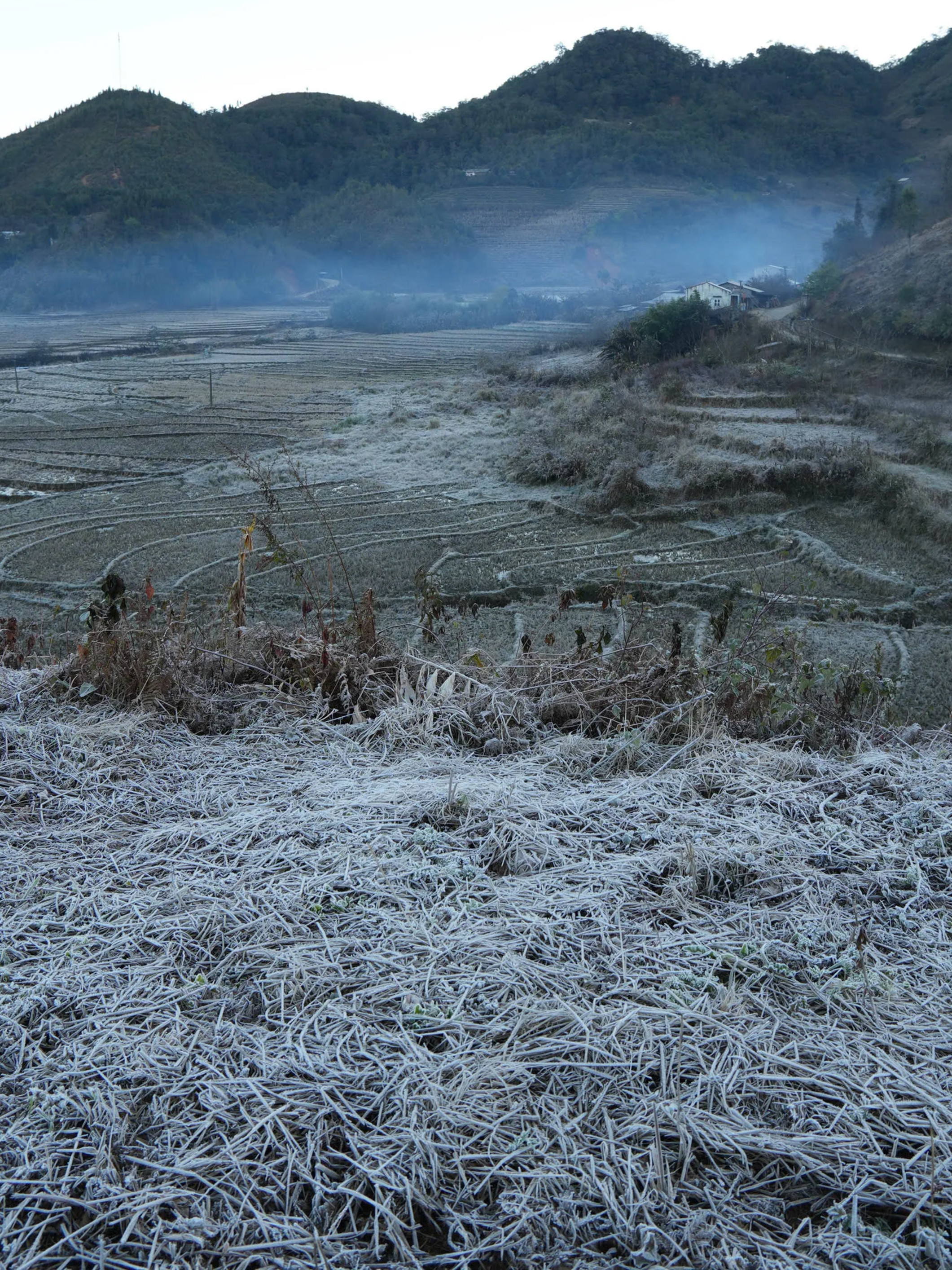 Lào Cai: Băng giá trắng xóa 'bao phủ' bản làng ở Y Tý - 2