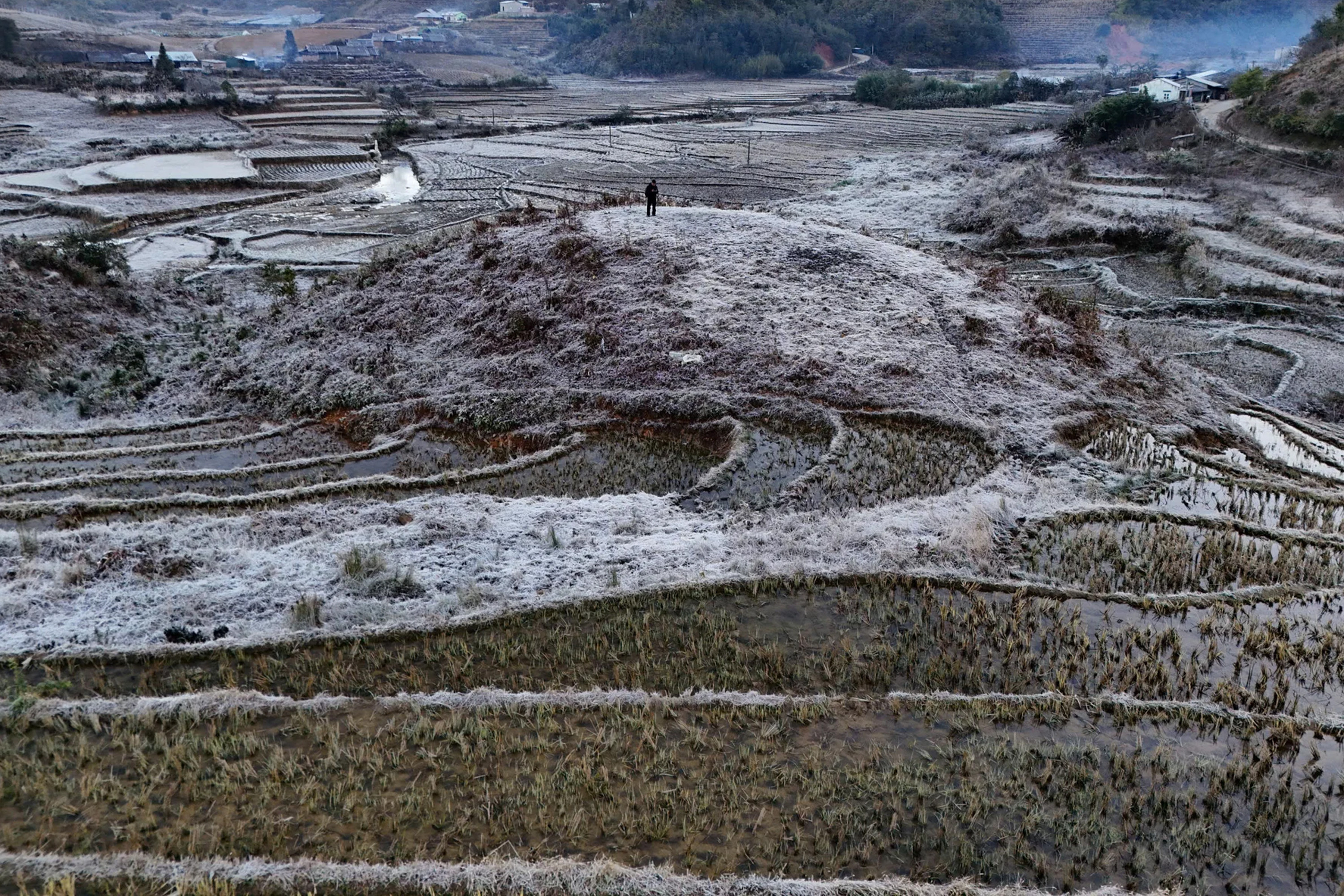 Lào Cai: Băng giá trắng xóa 'bao phủ' bản làng ở Y Tý - 7