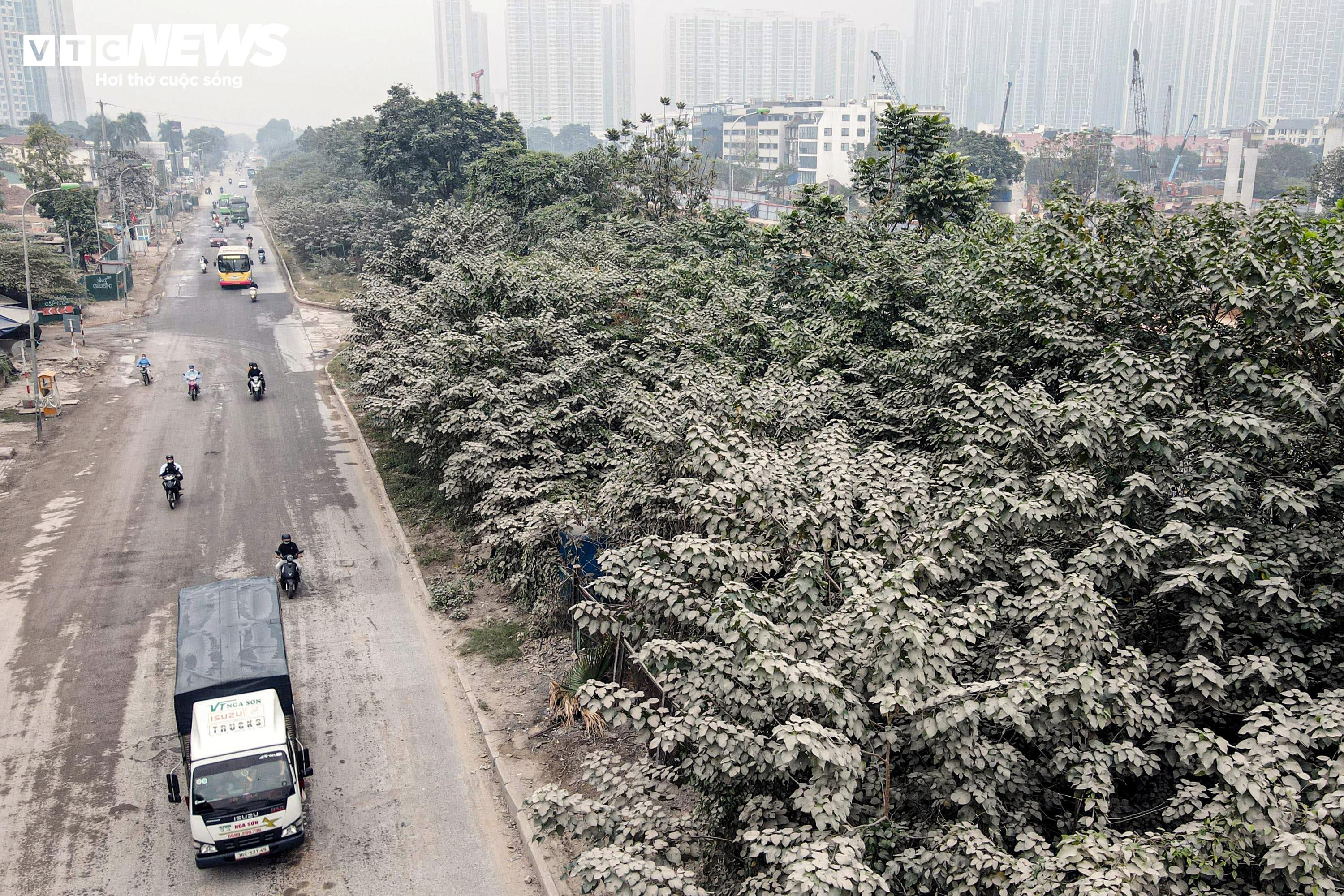 'Bão bụi' bao phủ đường cửa ngõ Hà Nội, cây cối chuyển màu trắng xóa - 4