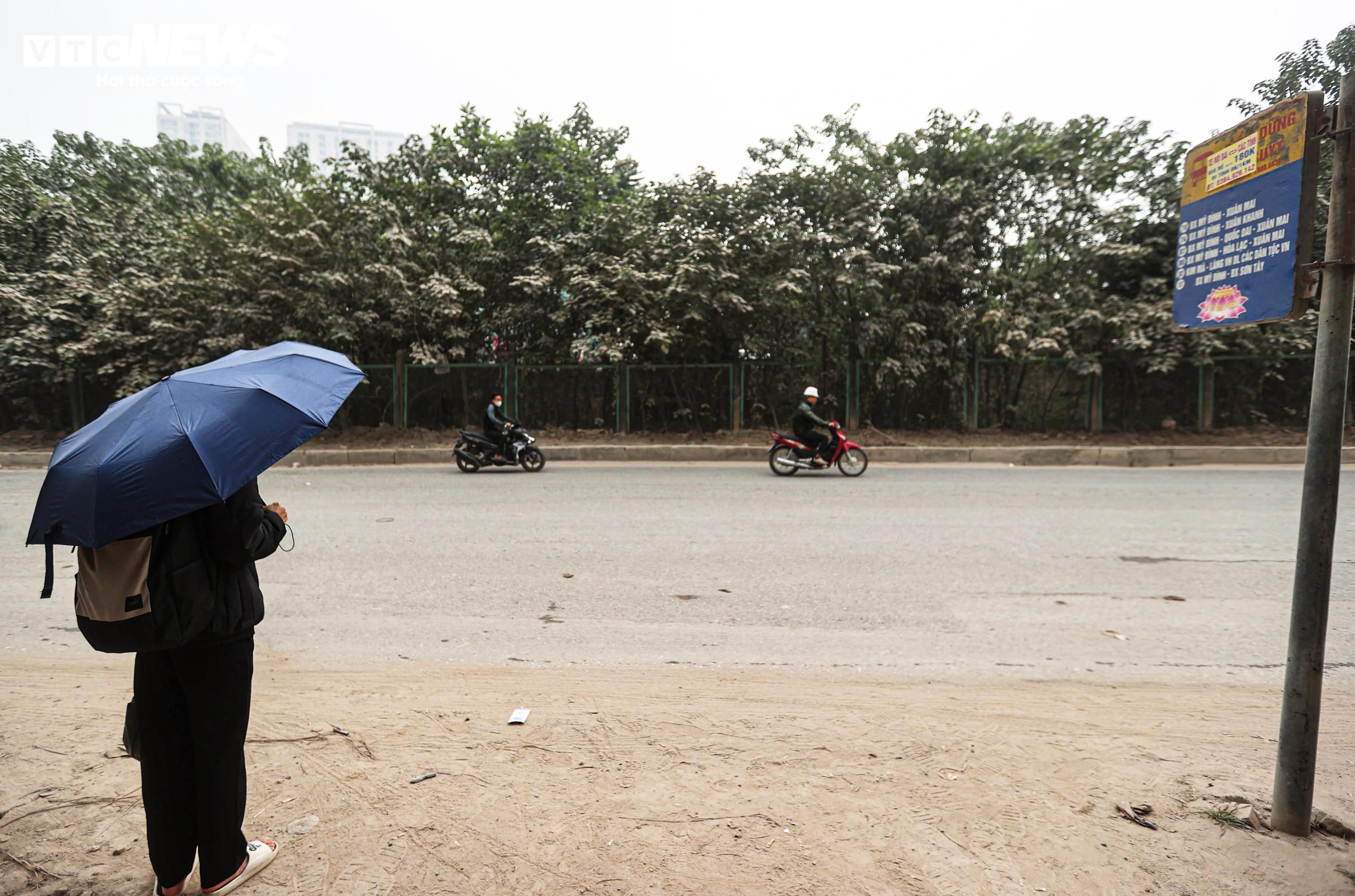 'Bão bụi' bao phủ đường cửa ngõ Hà Nội, cây cối chuyển màu trắng xóa - 9