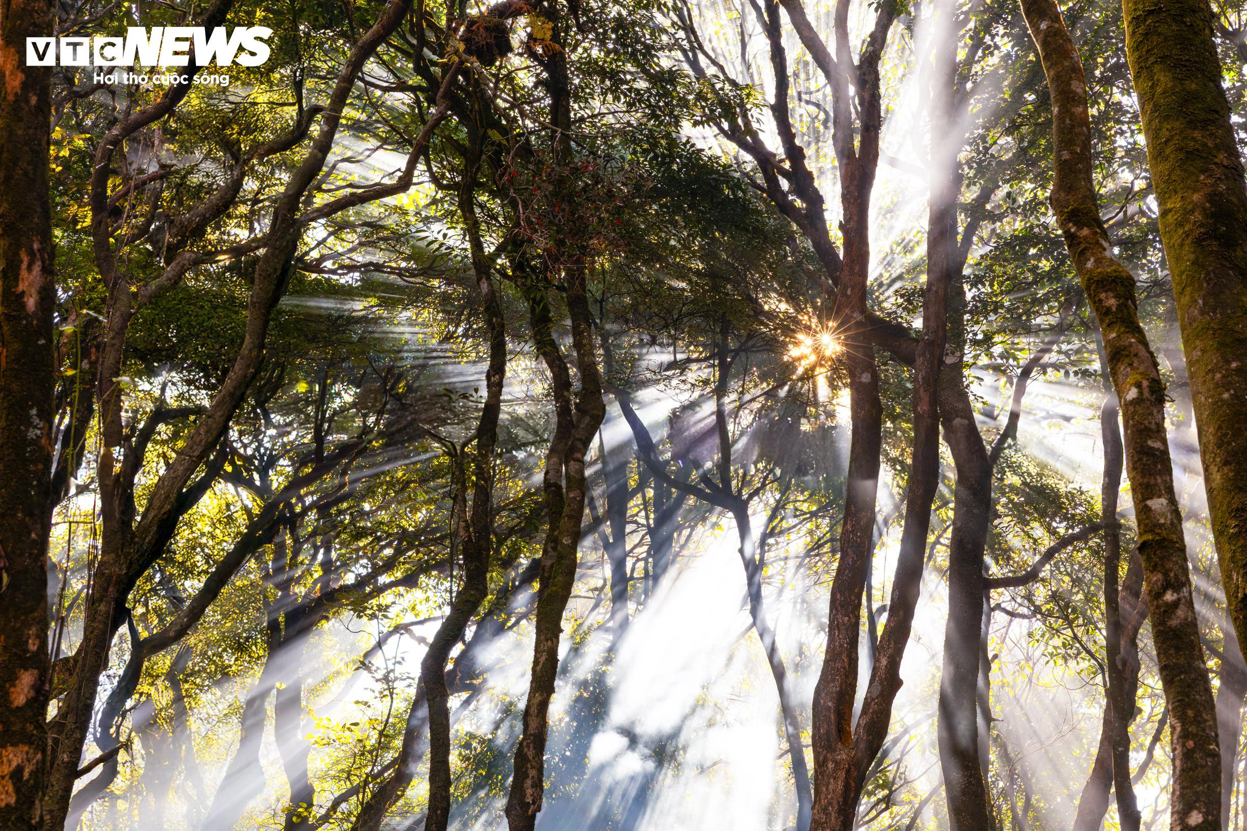 Biển mây bồng bềnh mùa cuối năm, Lùng Cúng thành điểm hẹn của dân trekking - 13