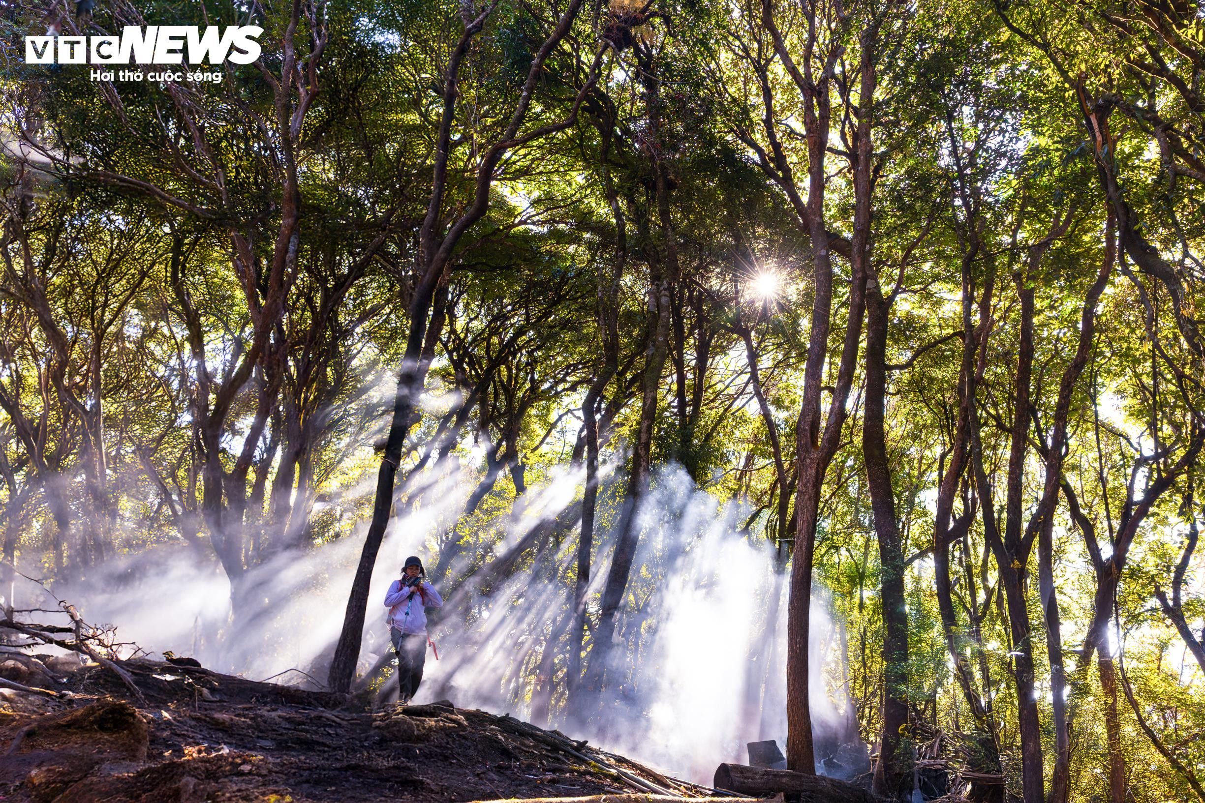 Biển mây bồng bềnh mùa cuối năm, Lùng Cúng thành điểm hẹn của dân trekking - 7