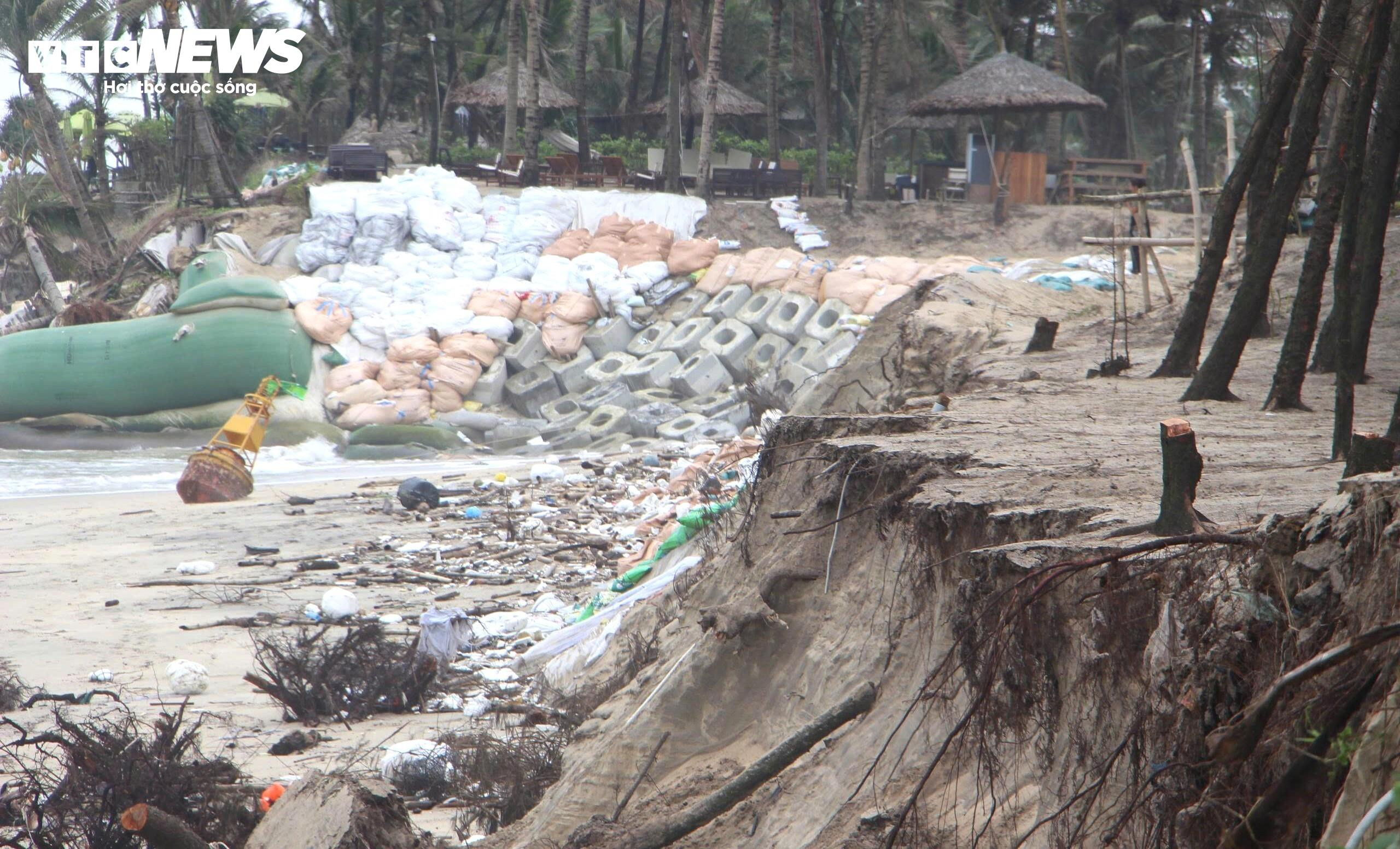 Sóng xé toạc bờ biển Đà Nẵng, đánh bật gốc phi lao, uy hiếp loạt công trình - 2