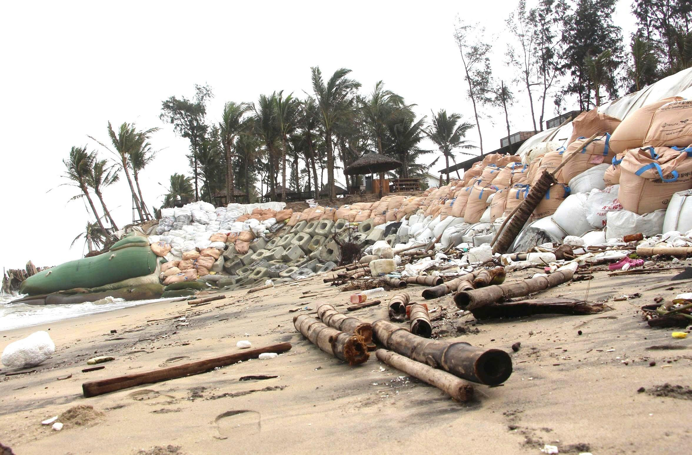 Sóng xé toạc bờ biển Đà Nẵng, đánh bật gốc phi lao, uy hiếp loạt công trình - 8