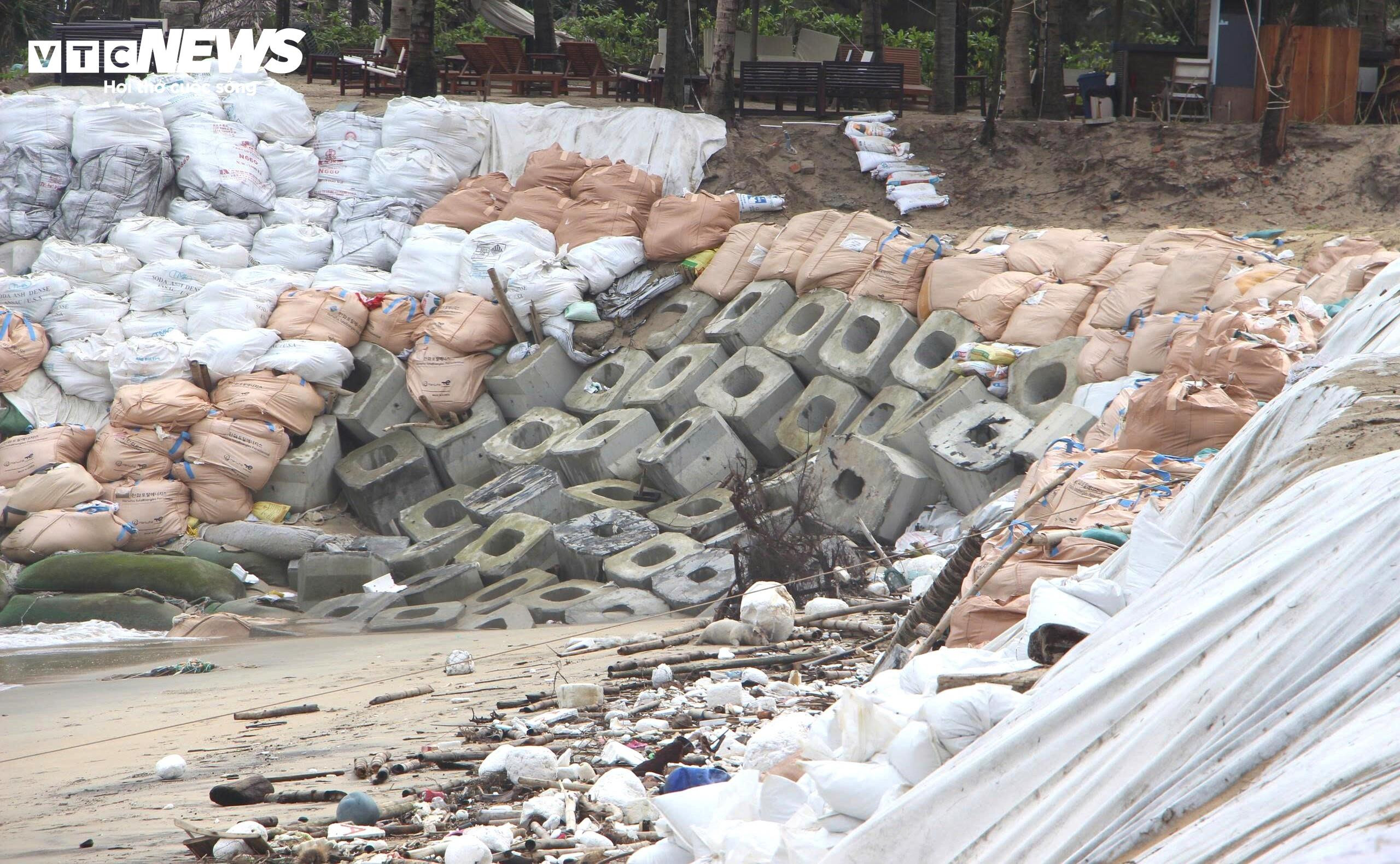 Sóng xé toạc bờ biển Đà Nẵng, đánh bật gốc phi lao, uy hiếp loạt công trình - 7