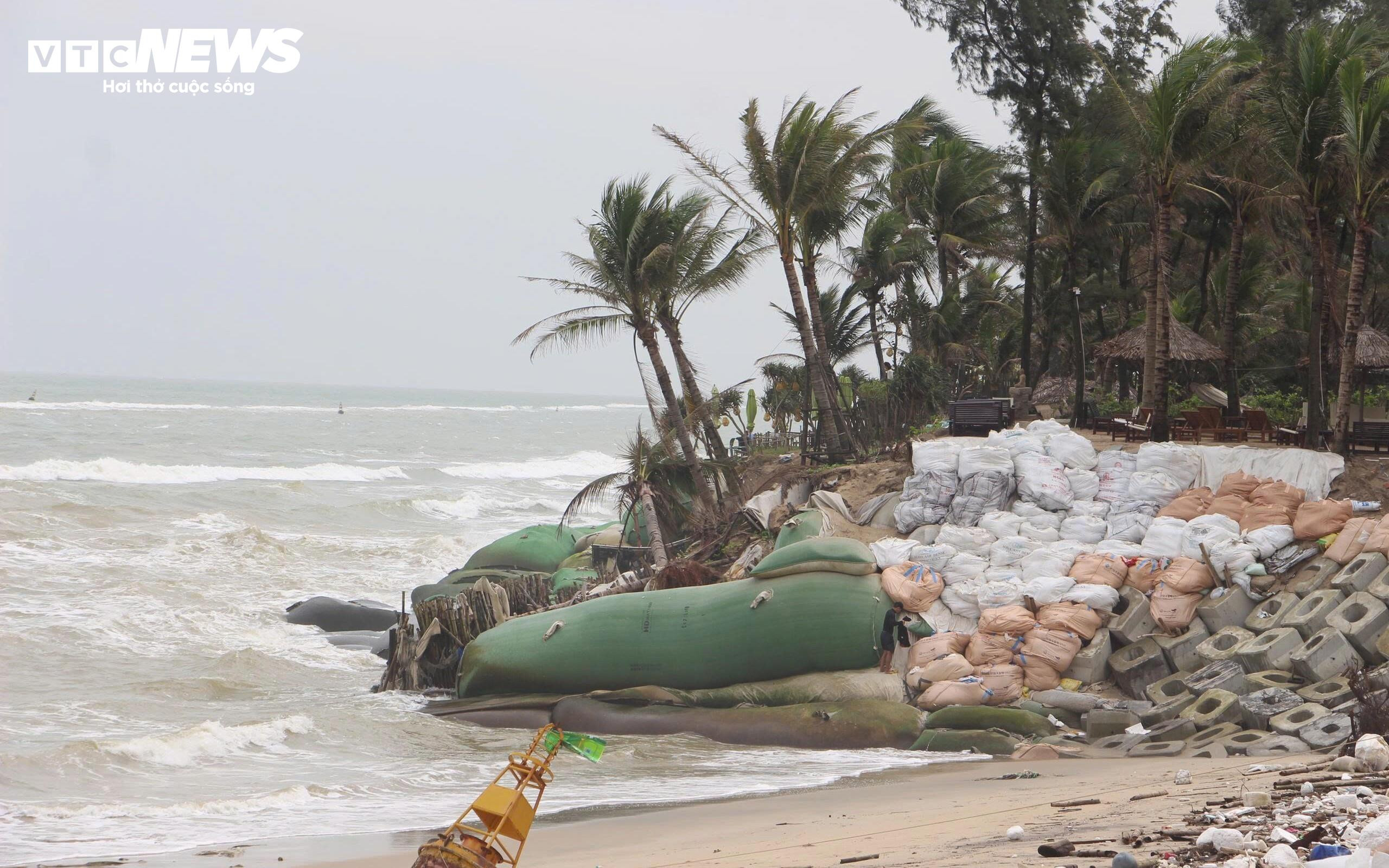 Sóng xé toạc bờ biển Đà Nẵng, đánh bật gốc phi lao, uy hiếp loạt công trình - 9