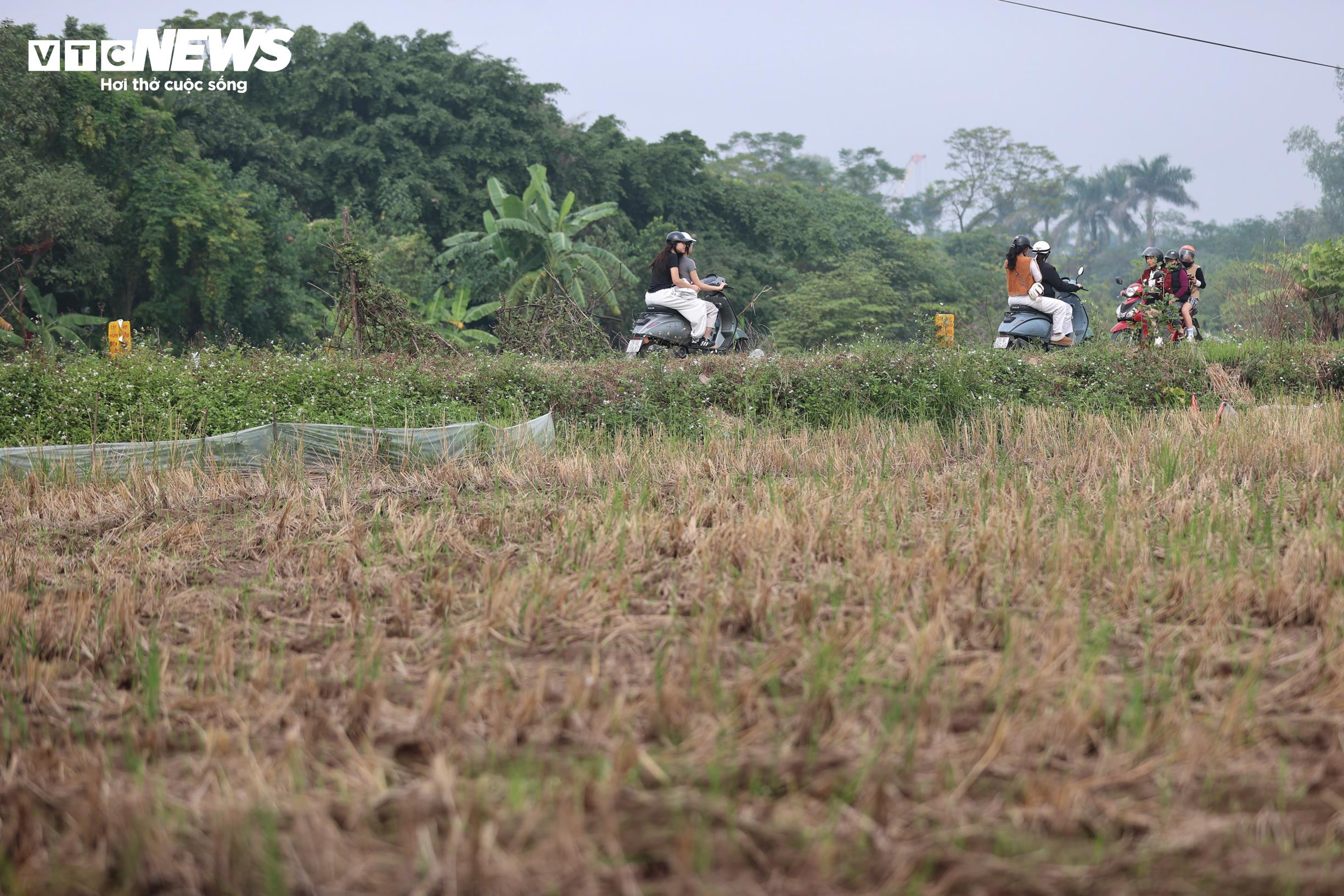 ហាណូយ៖ ផ្លូវ៨គន្លងនៅតែជាផ្លូវស្លាប់ក្រោយពី៧ឆ្នាំទៅ៦ឆ្នាំ