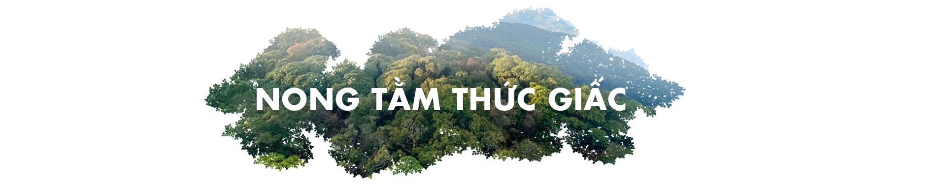 Mạch sống mới nơi đại ngàn - 1