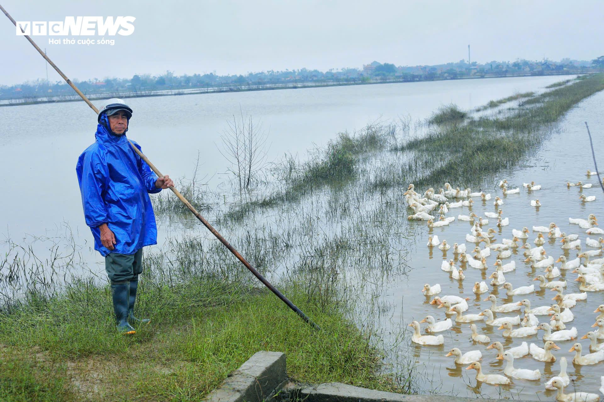 Chính sách giúp người dân vùng ‘rốn lũ’ ở Huế thoát nghèo ra sao? - 3