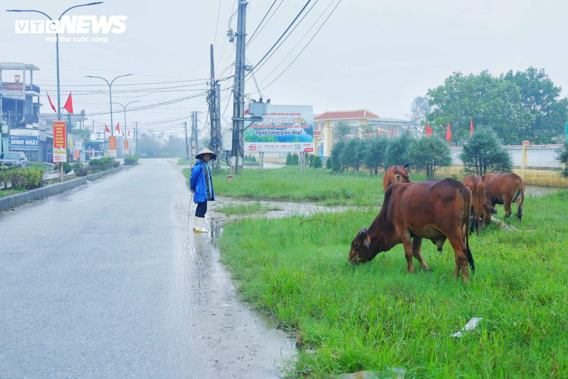 Chính sách giúp người dân vùng ‘rốn lũ’ ở Huế thoát nghèo ra sao? - 5
