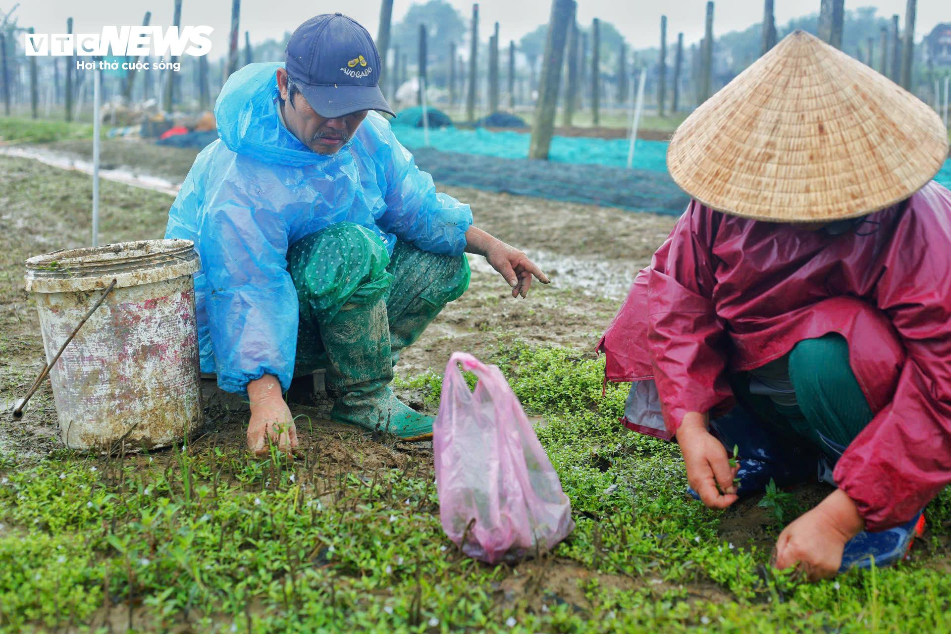 Chính sách giúp người dân vùng ‘rốn lũ’ ở Huế thoát nghèo ra sao? - 6