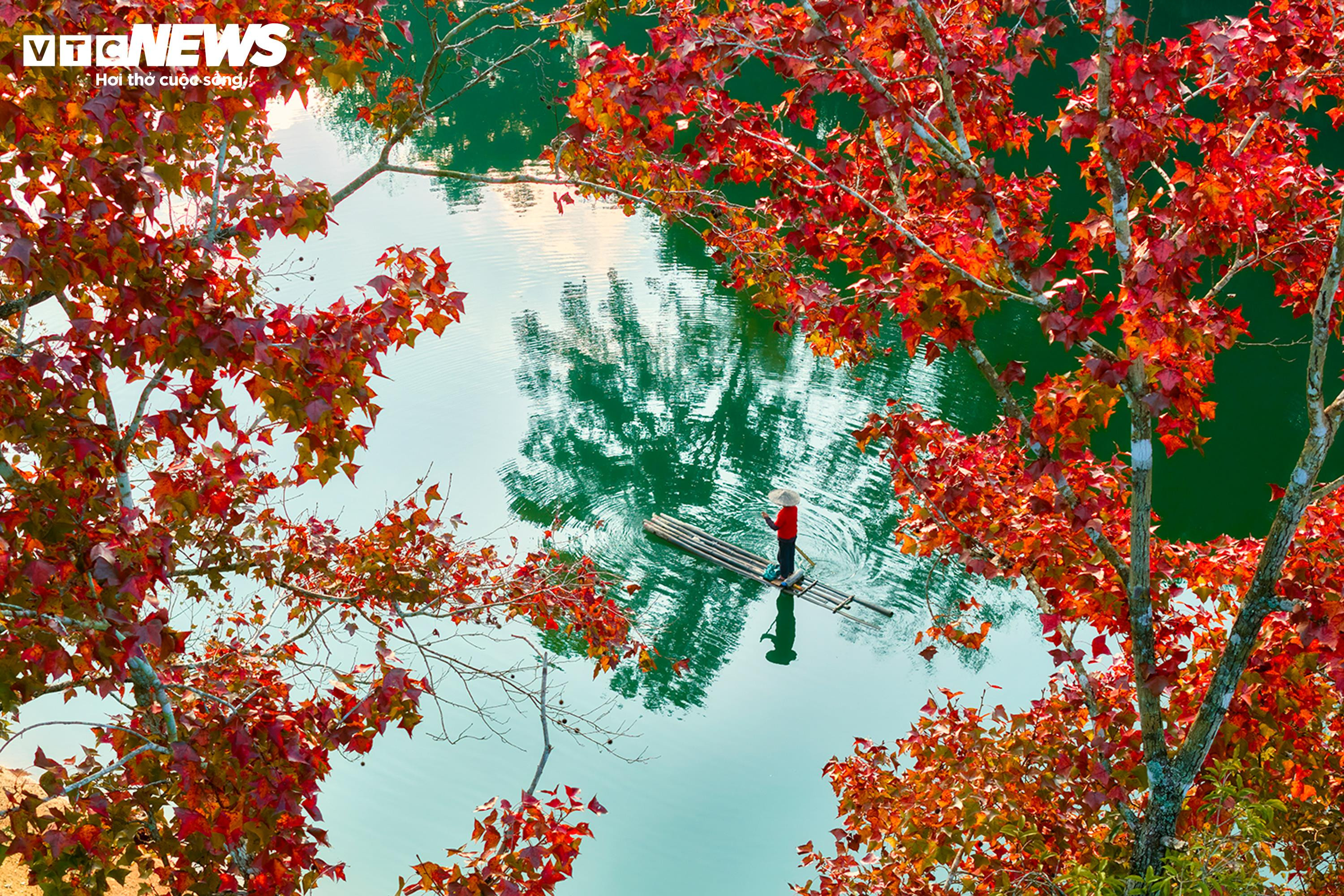 Den konstgjorda sjön i Cao Bang är lika livfull som det europeiska landskapet under höstens lövverksäsong - 12