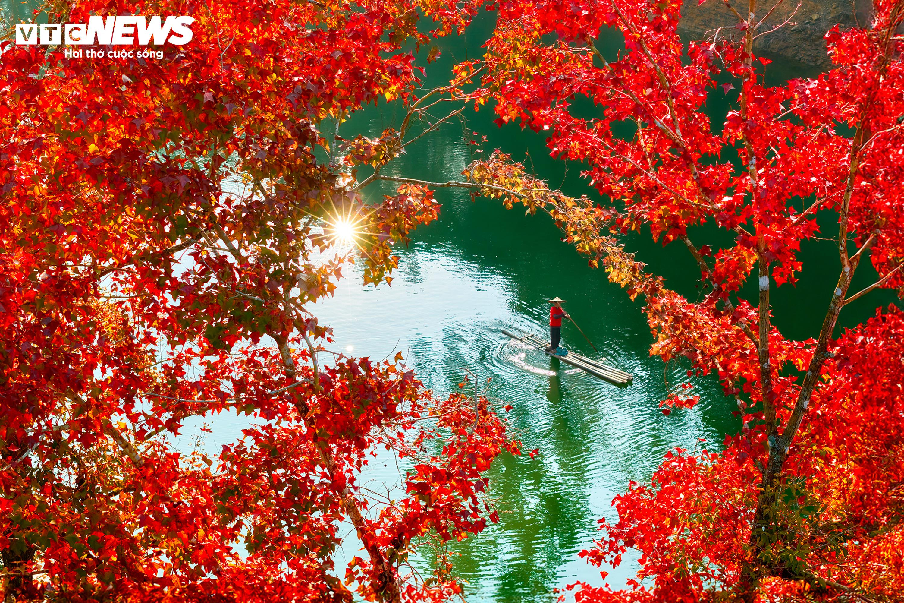 Den konstgjorda sjön i Cao Bang är lika livfull som det europeiska landskapet under höstens lövverksäsong - 3