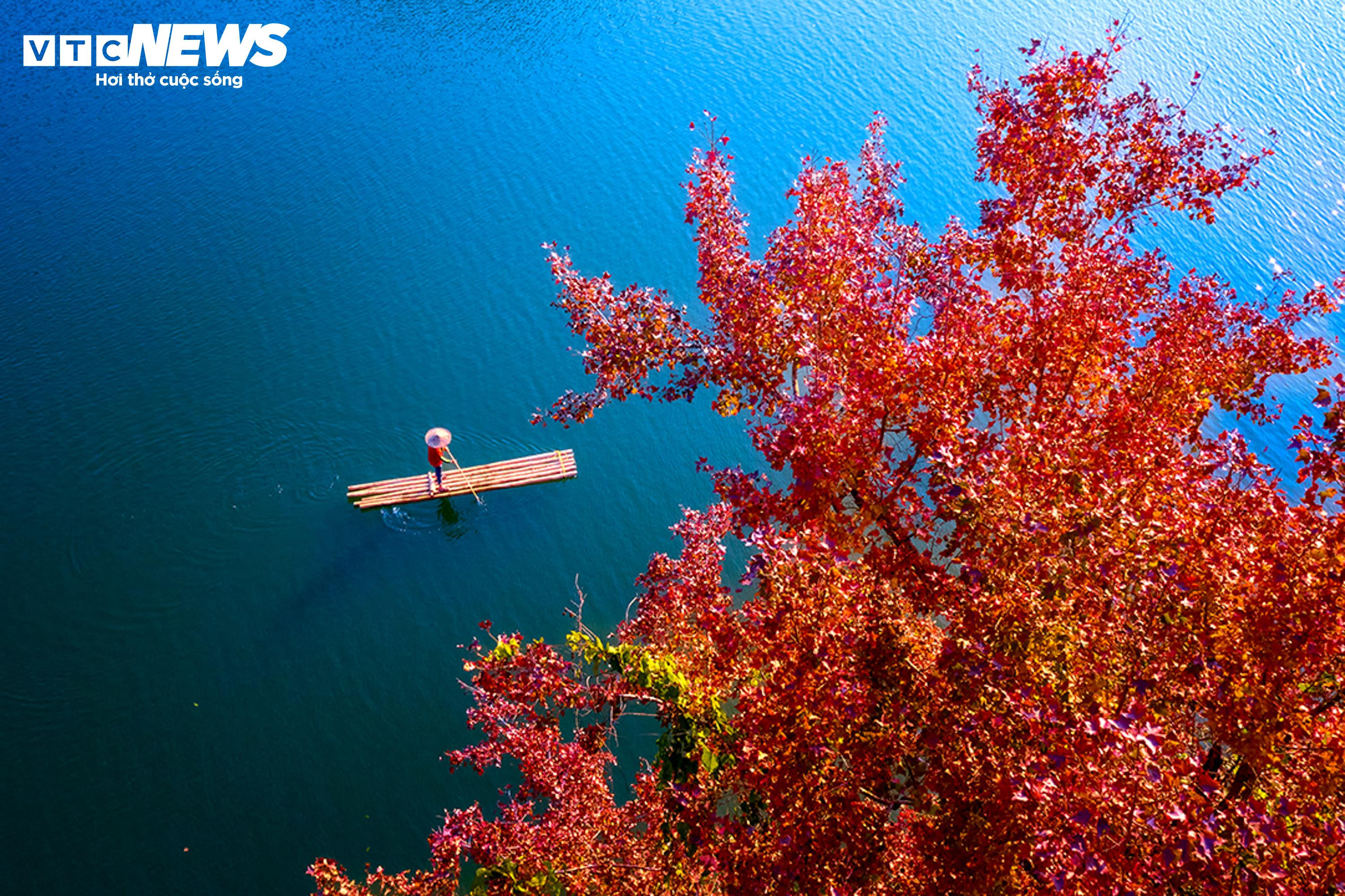 Den konstgjorda sjön i Cao Bang är lika livfull som den europeiska hösten när löven ändrar färg - 4