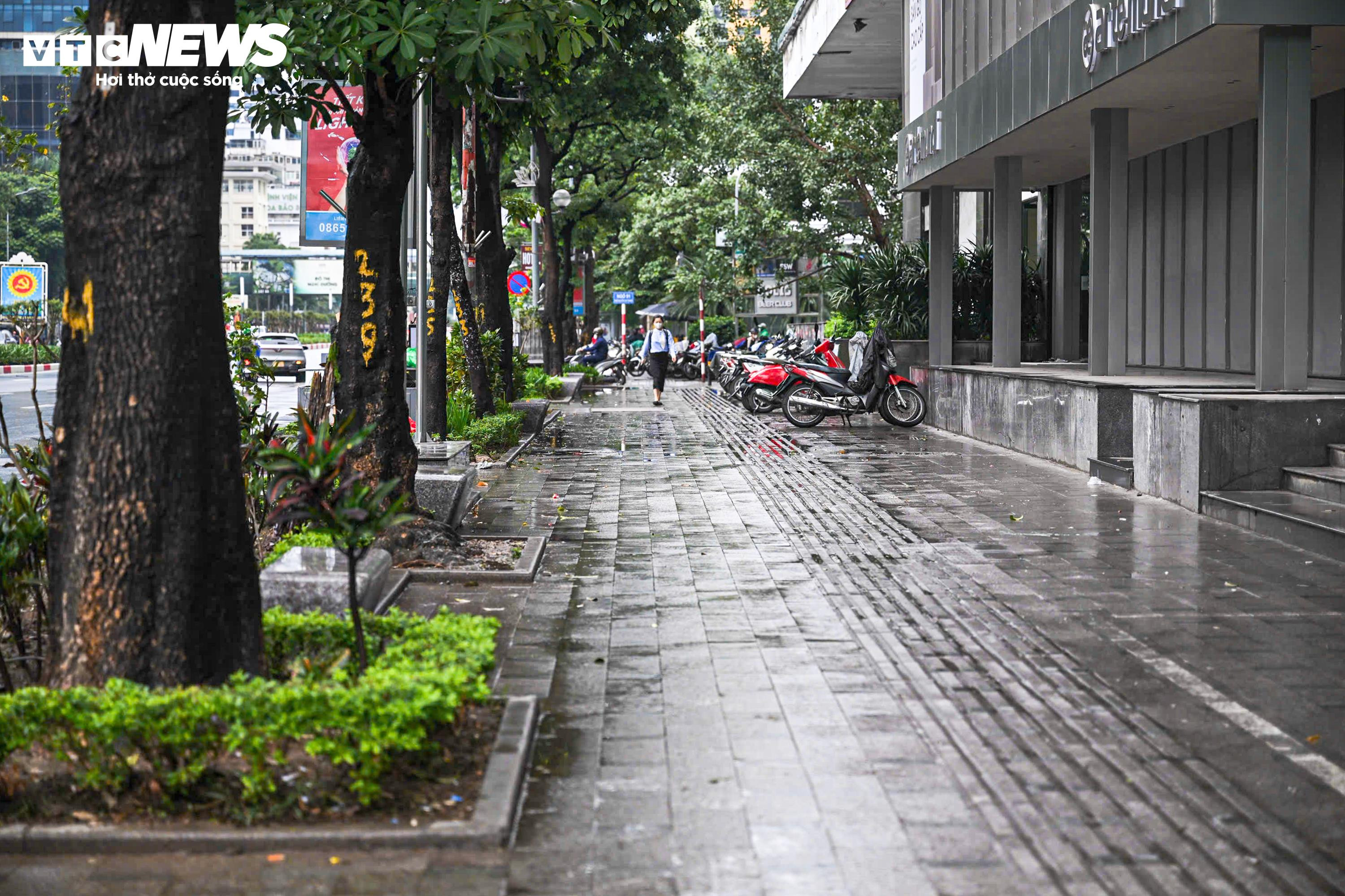 Ngày đầu vận hành camera AI, dân Hà Nội đội mưa rét dừng chờ đèn đỏ thẳng tắp - 10