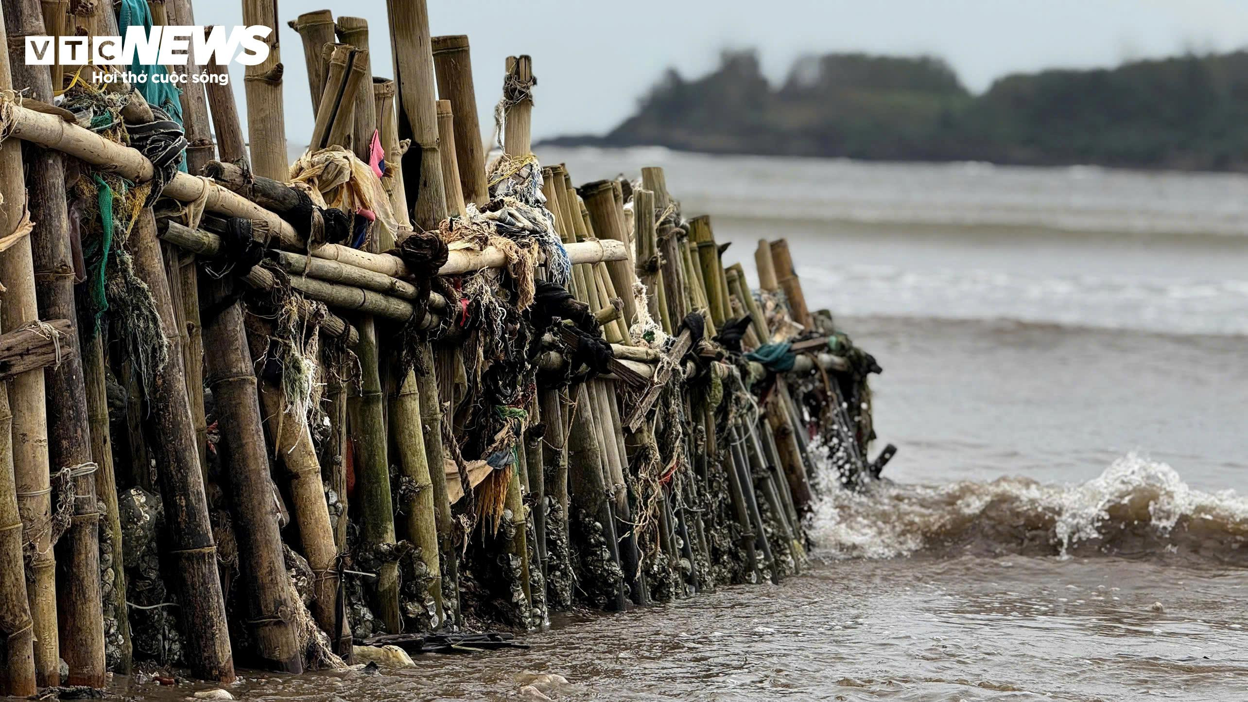 مردم برای محافظت از زمین‌هایشان پول خرج ساخت دیوارهای ساحلی کردند، اما امواج سهمگین به ساحل رسیدند و همه چیز را ویران کردند - 8