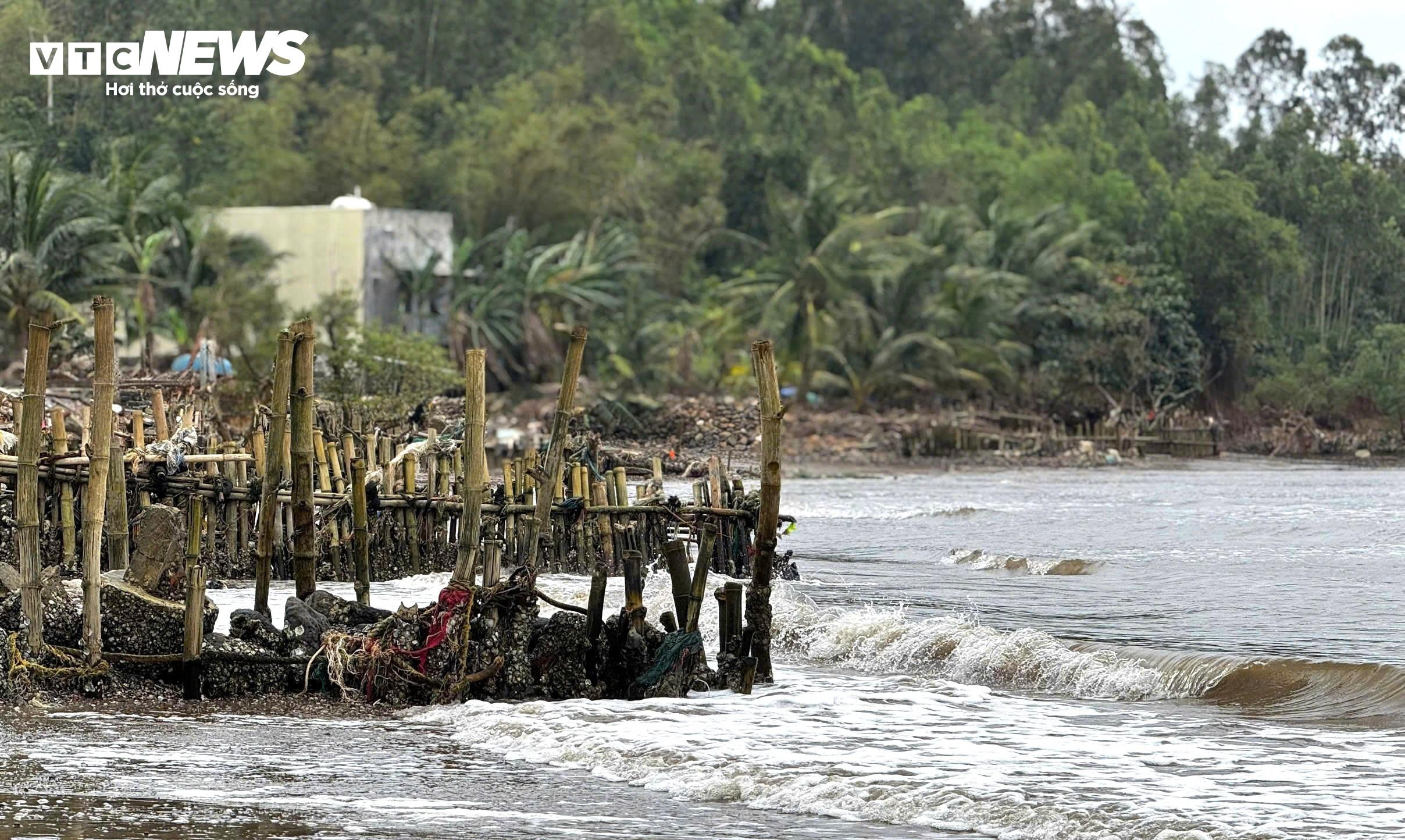 مردم برای محافظت از زمین‌هایشان پول خرج ساخت دیوارهای ساحلی کردند، اما امواج سهمگین به ساحل رسیدند و همه چیز را ویران کردند - 6